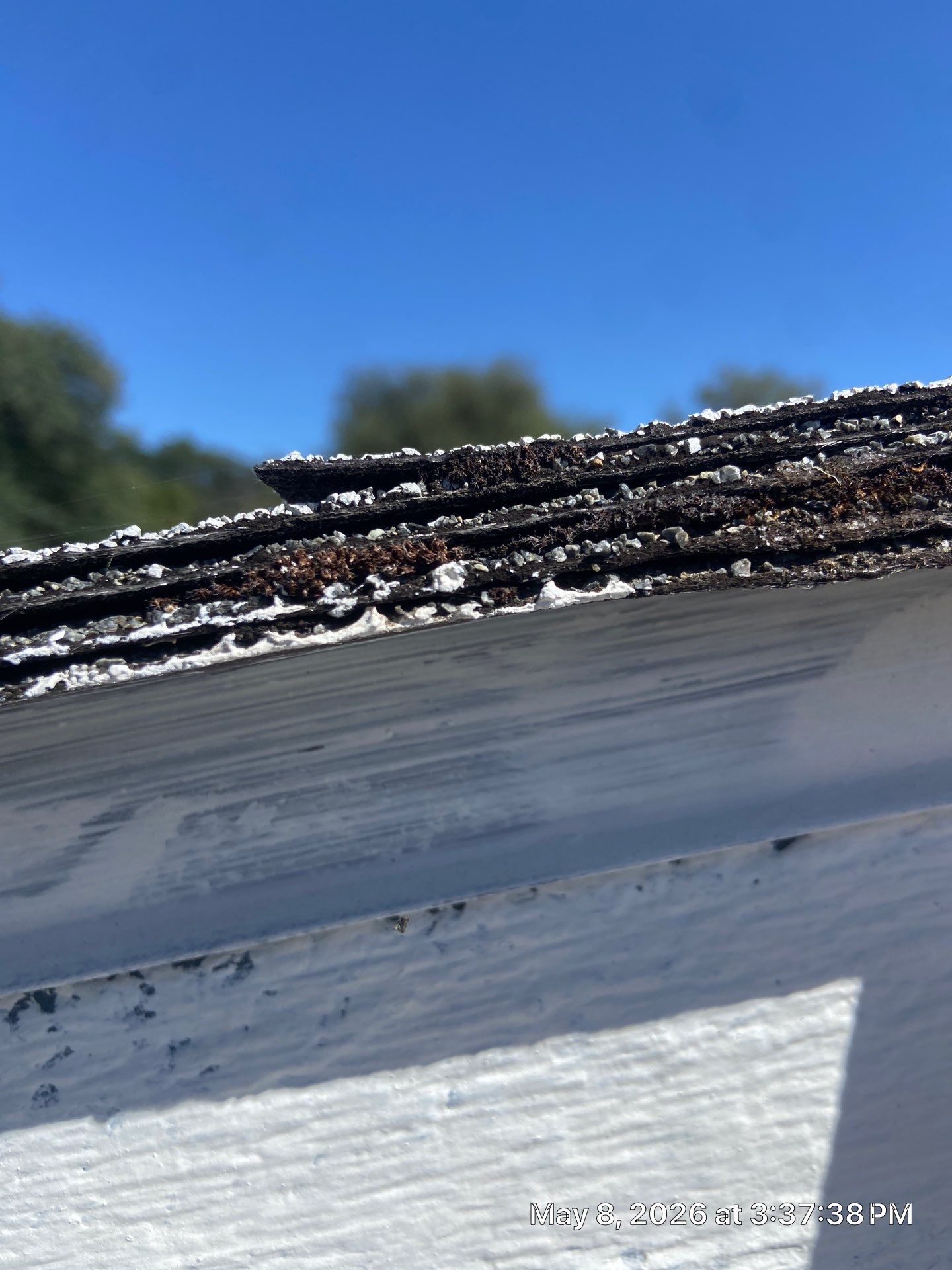 Roof Rejuvenation using Roof Maxx Treatment by Roof Maxx of Folsom