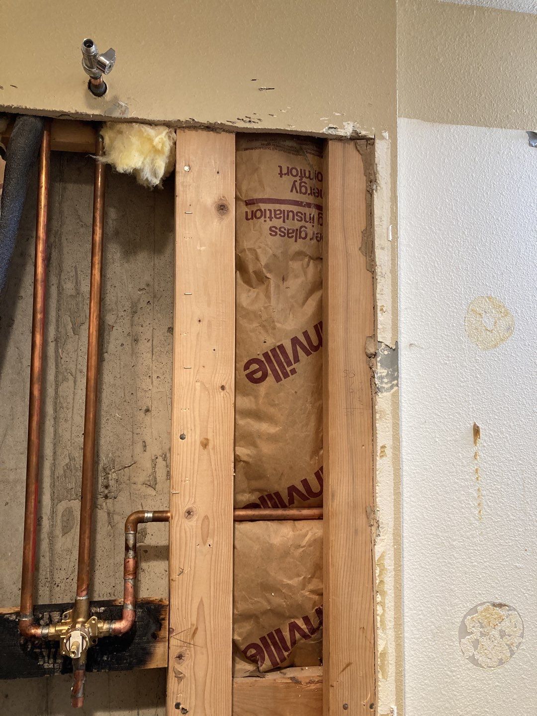 Mold Remediation by Accountable Home Services