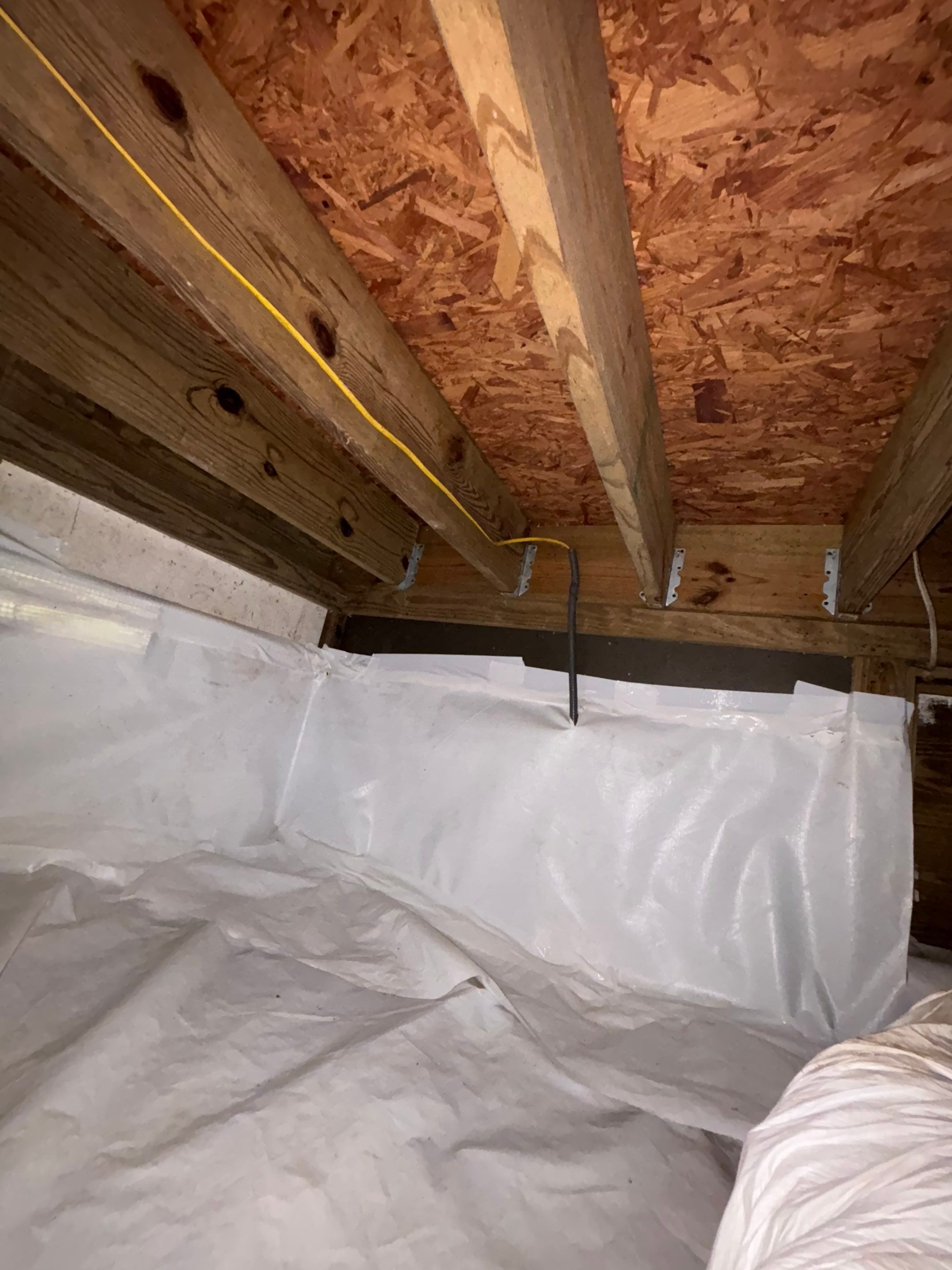 Biohazard Crawlspace by ANR Restoration