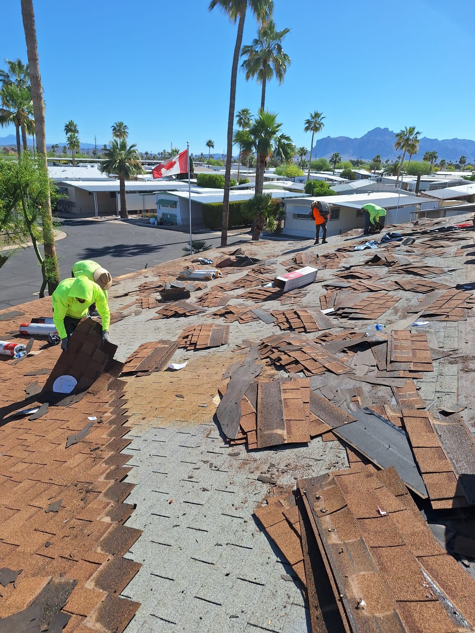 Harvest Brown Shingles by Reimagine Roofing