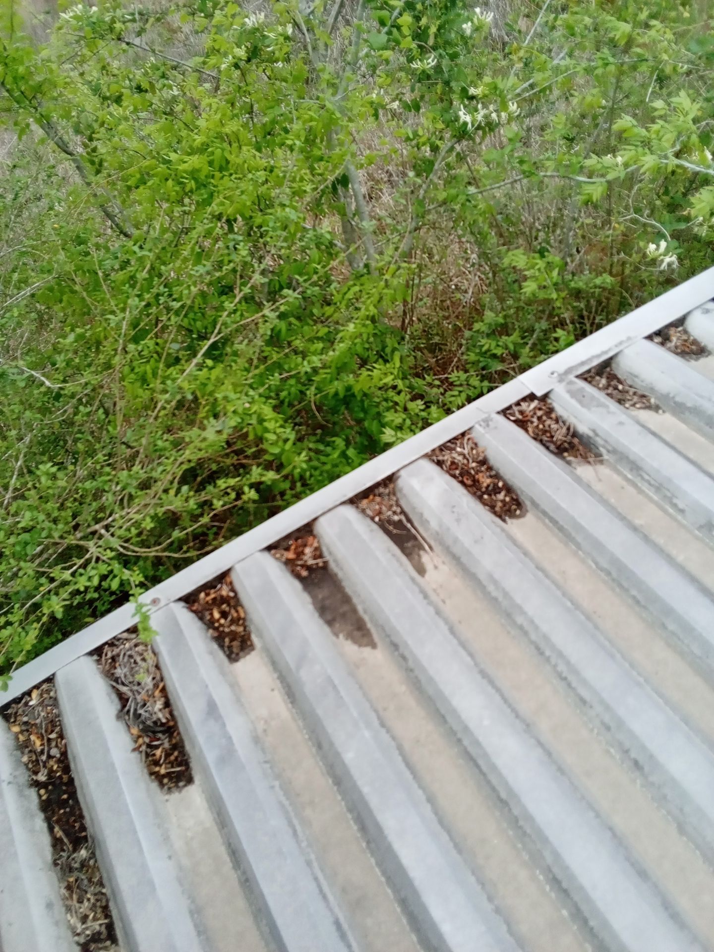 HOA gutter cleaning before photo.