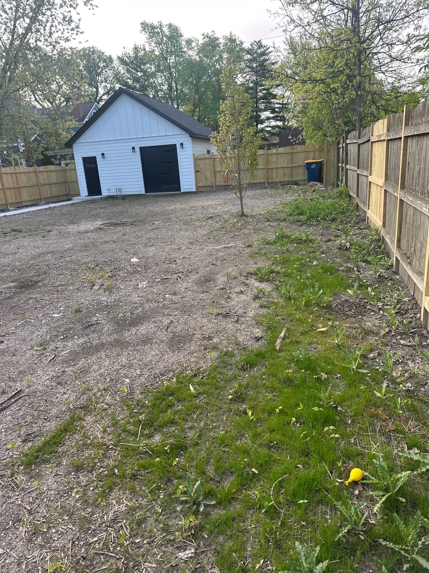 Tom D. - Wilmette, IL by A&N
