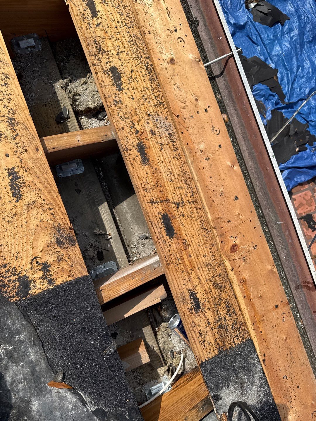 Project in St. Petersburg 33710 by Mitchell Roofing Company LLC 