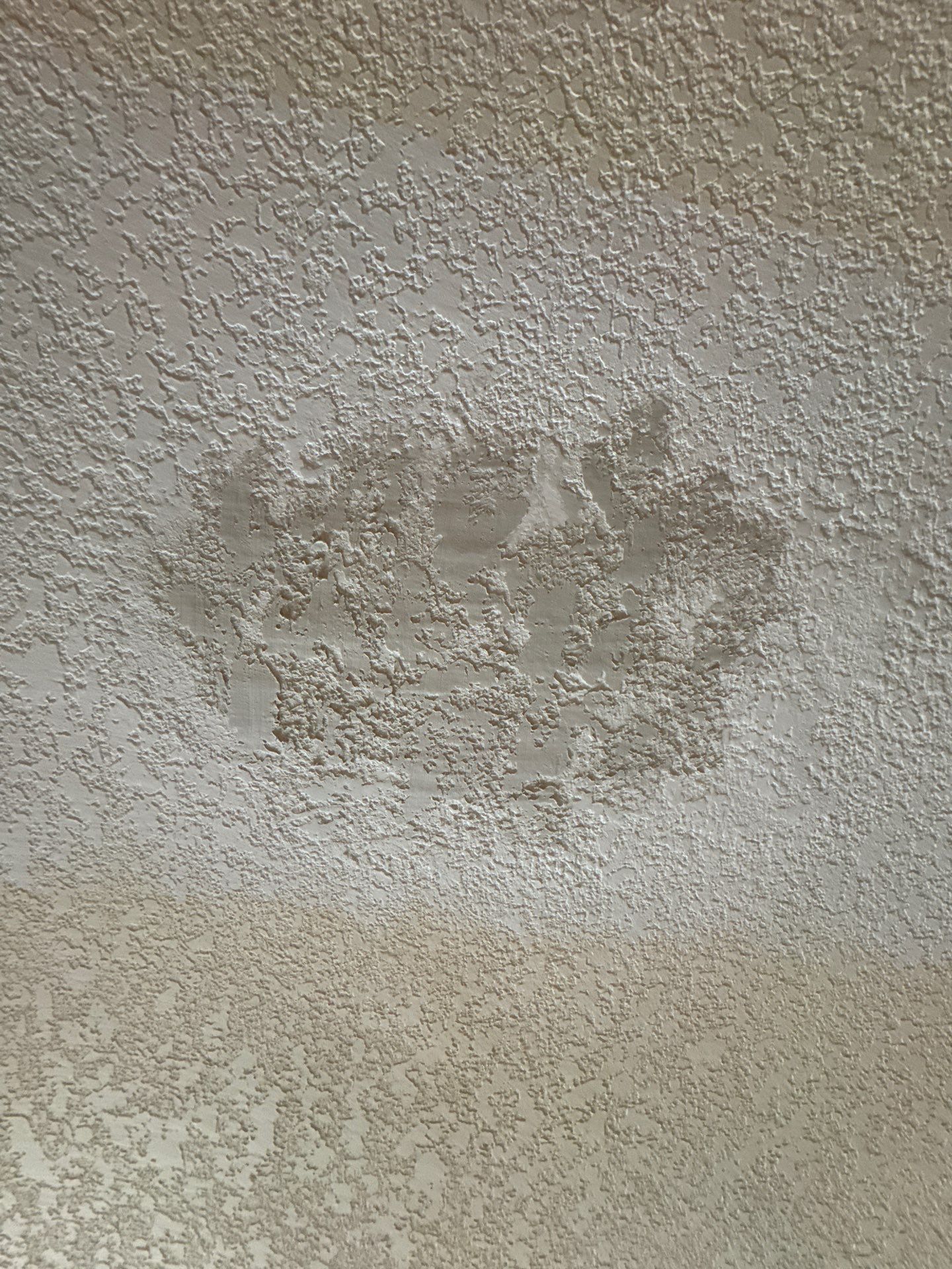 Residential Interior Repaint by Midwest Paint LLC