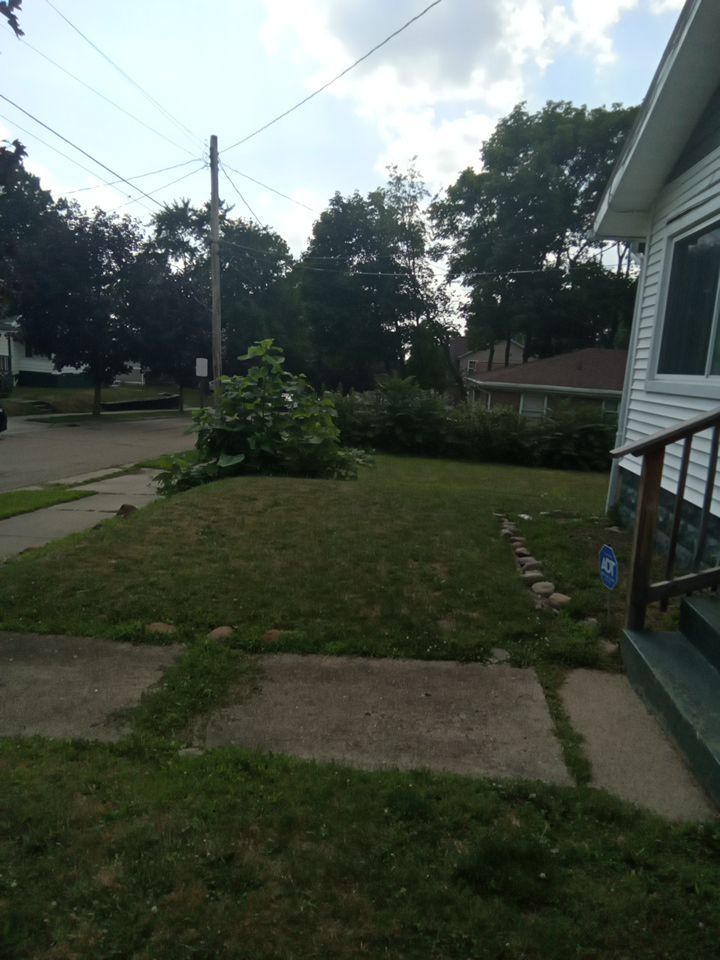 Tree Removal using Tree Removal by Mike Jones & Sons Tree Service LLC 