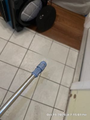 Wet Carpet Drying — Naples, FL