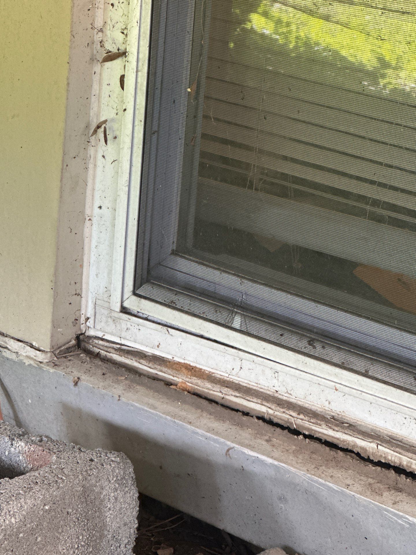 Inspección  by Mike home improvements 