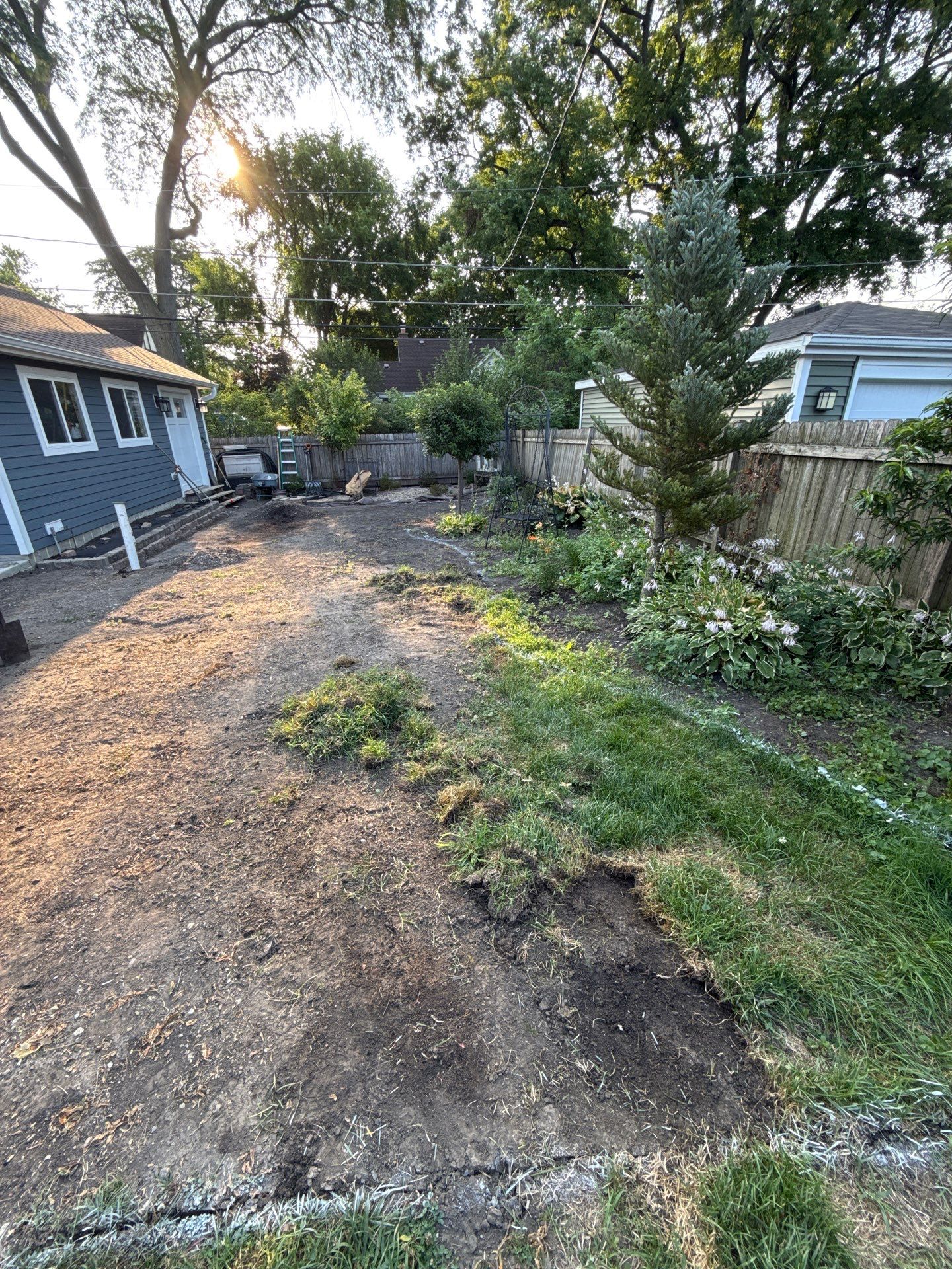 Joanne C. - Mount Prospect, IL by A&N 