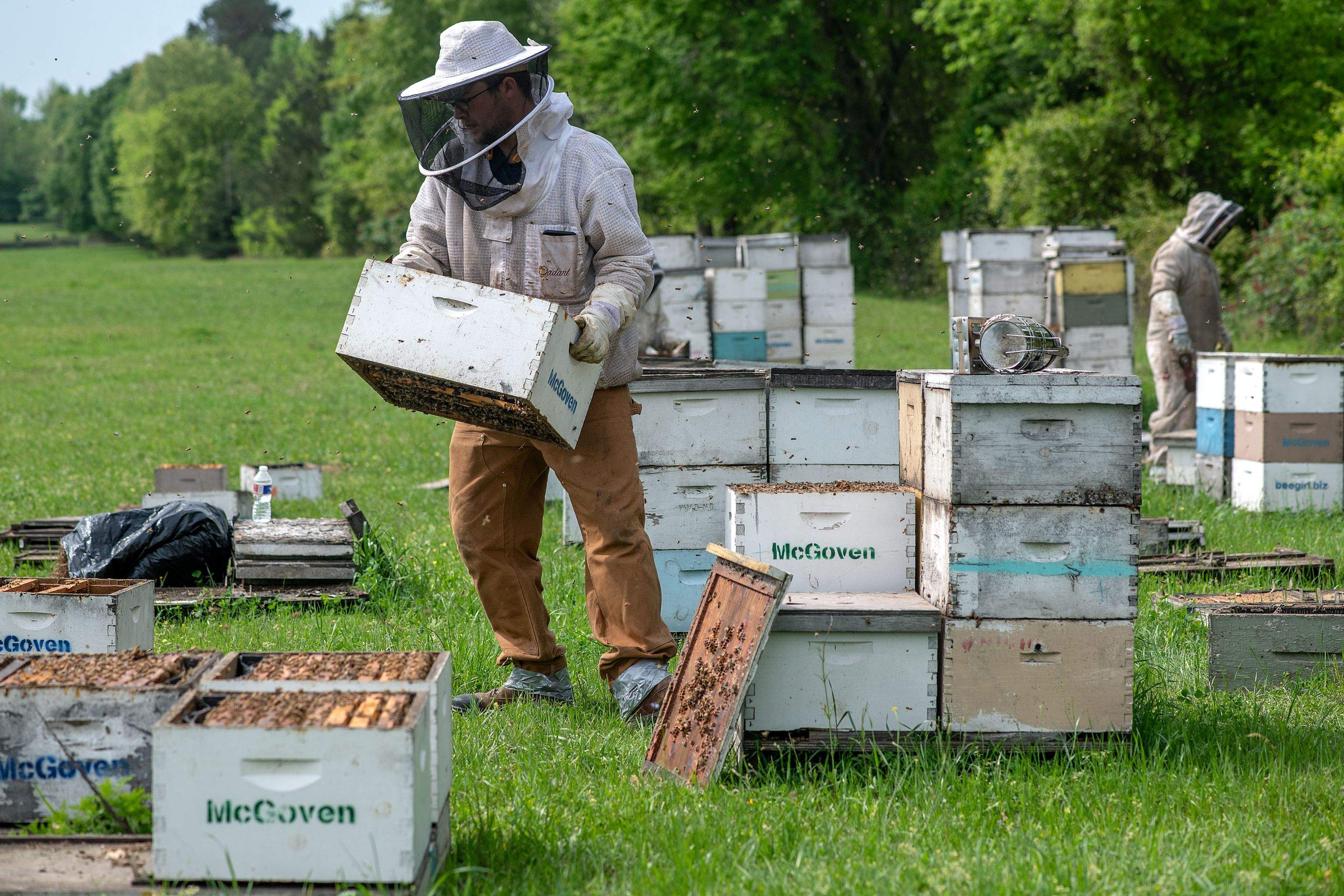 Splits in East Texas by Rockwall Honey Bee Company
