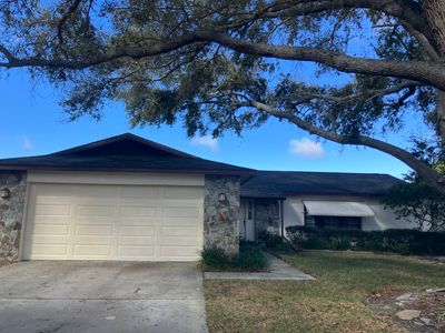 Project in Dunedin 34698