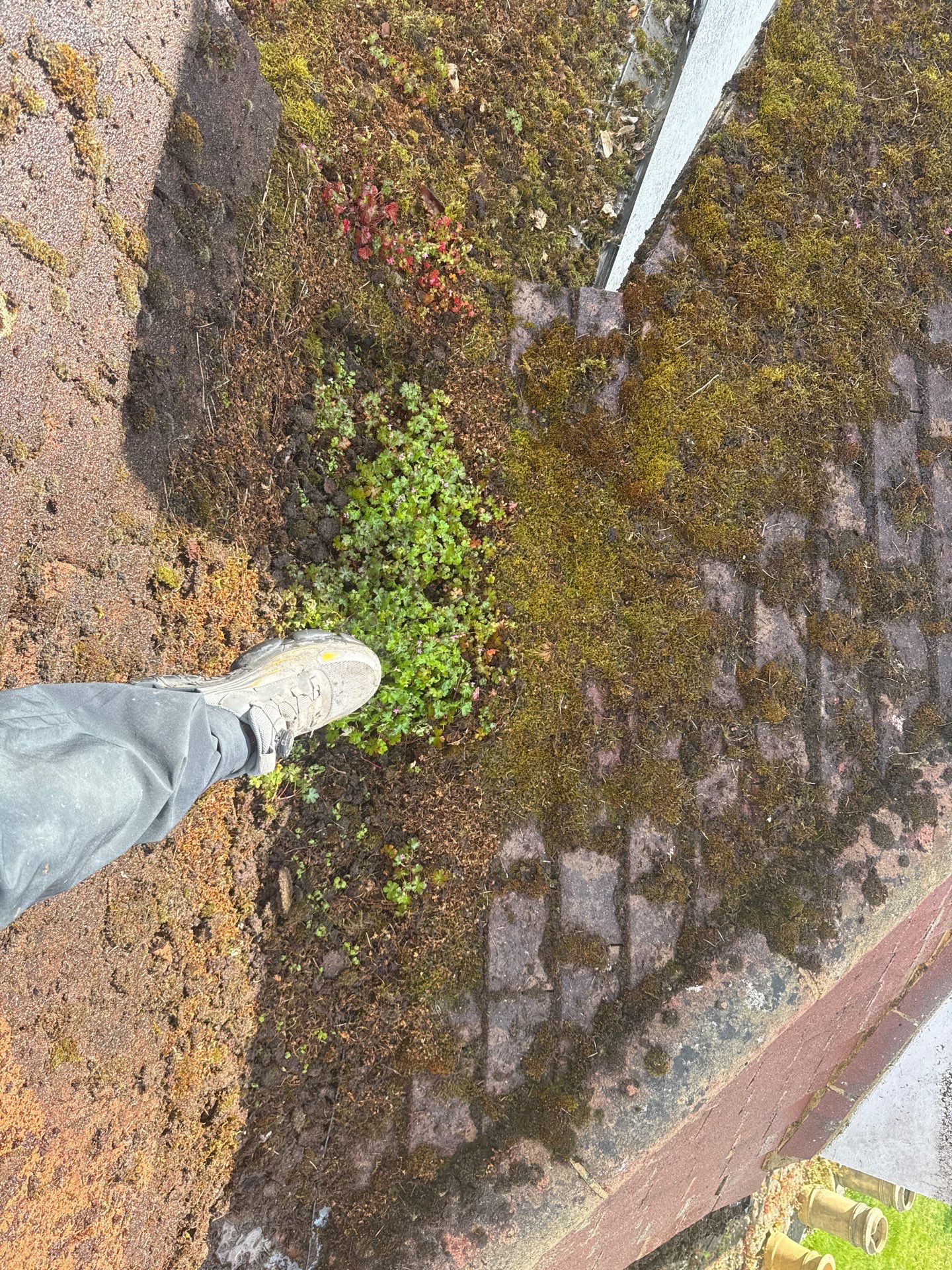 Roof Clean  - Moss Removal - Gutter Clean using Honda 15lpm Low Pressure Washing Machine by Ges Exterior Cleaning ltd