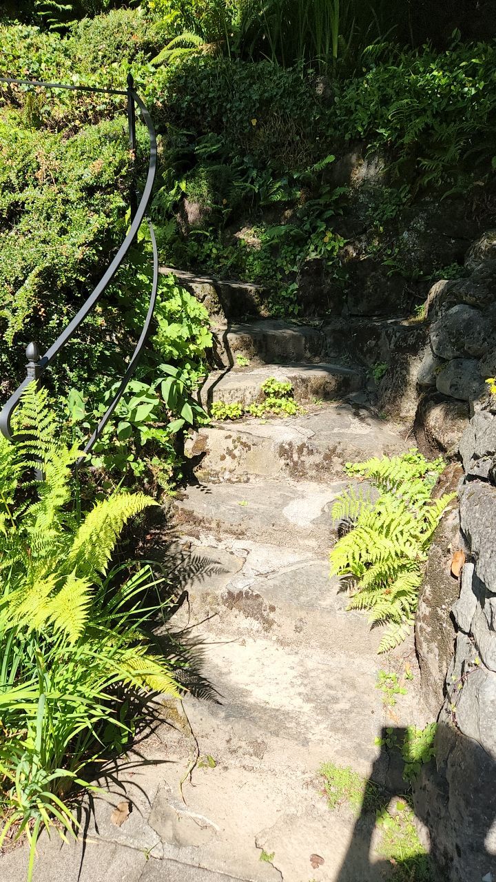 Flat work using Pressure washing no chemicals by Willamette Outdoor Wash LLC