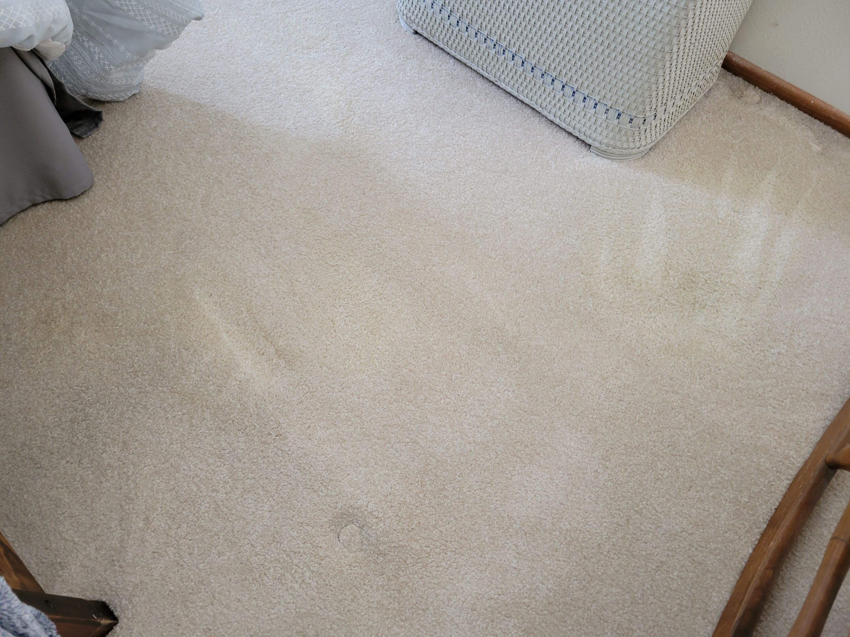Removal of Glue Stains by Ardent Carpet Restore LLC