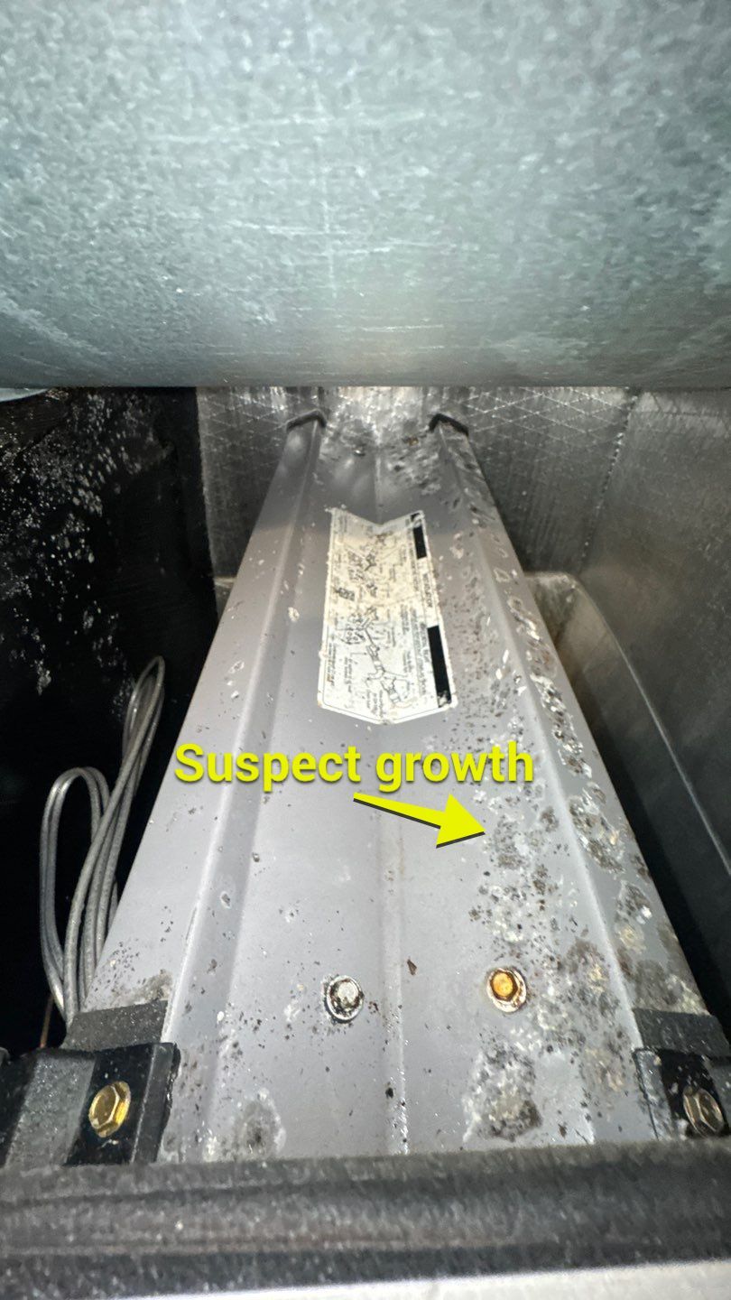 Air Duct Cleaning in Groveland by Hygienic Air, Inc