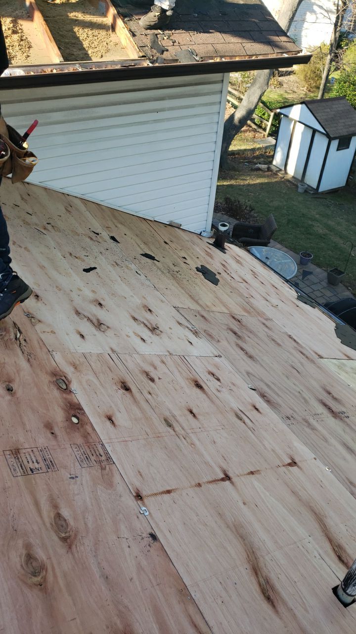 Springfield: CertainTeed Landmark Designer Shingles in Burnt Sienna by RM Banning, Inc.