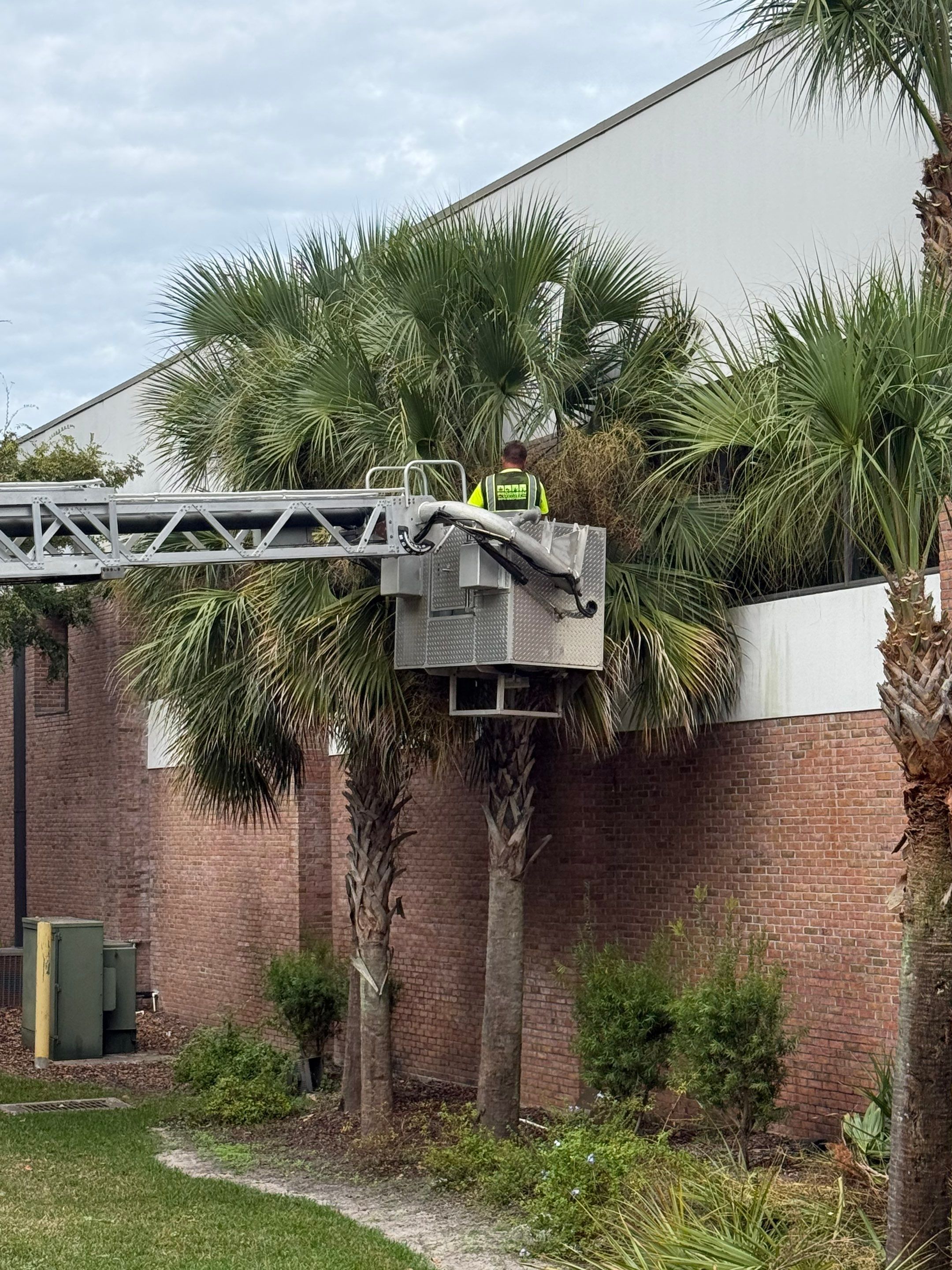 Volunteer Work | Episcopal High School of Jacksonville by ProGreen Services