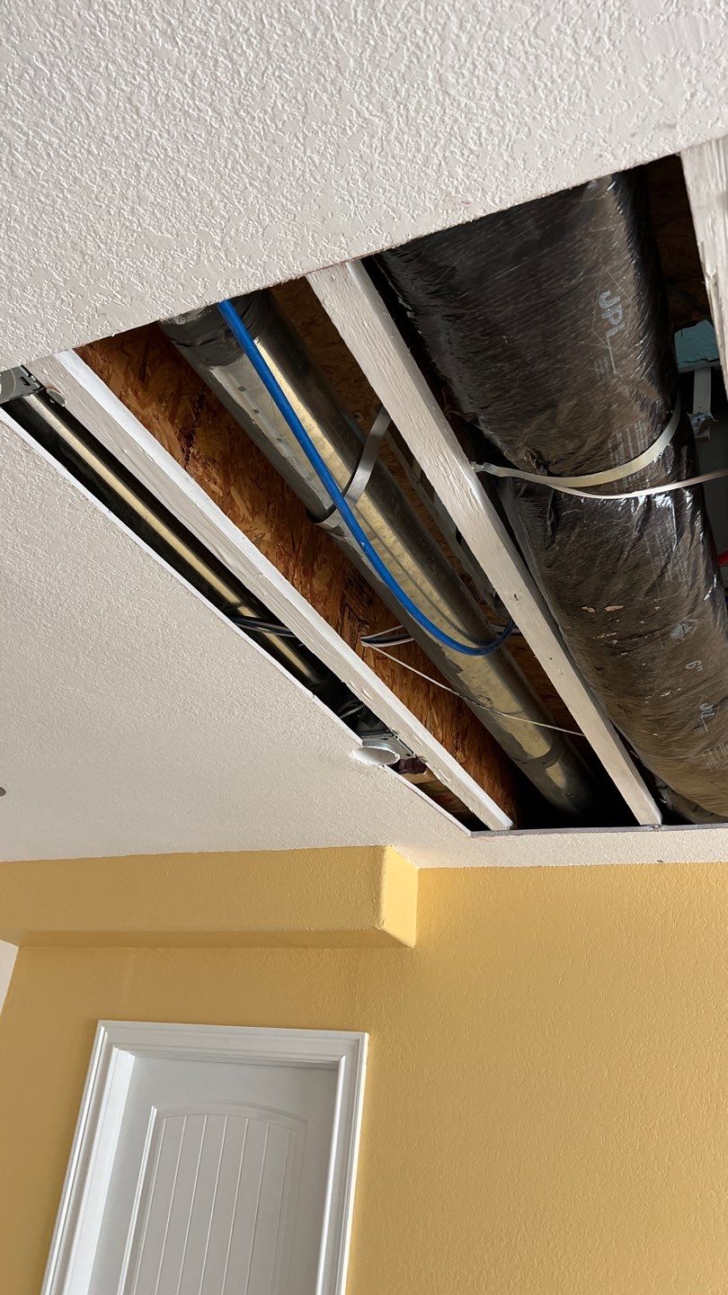 Mold Remediation by Accountable Home Services