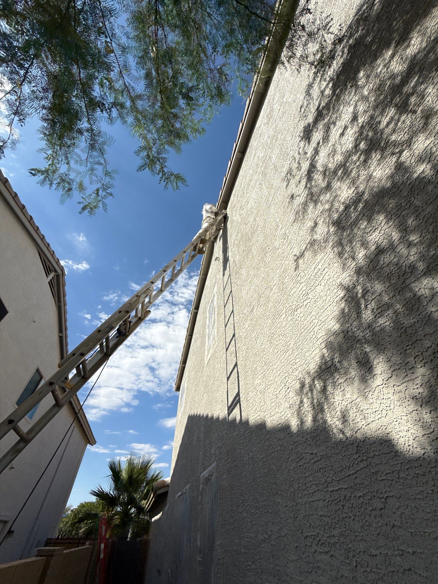 Exterior Painting - Chandler by Crash of Rhinos Painting & Garage Floors