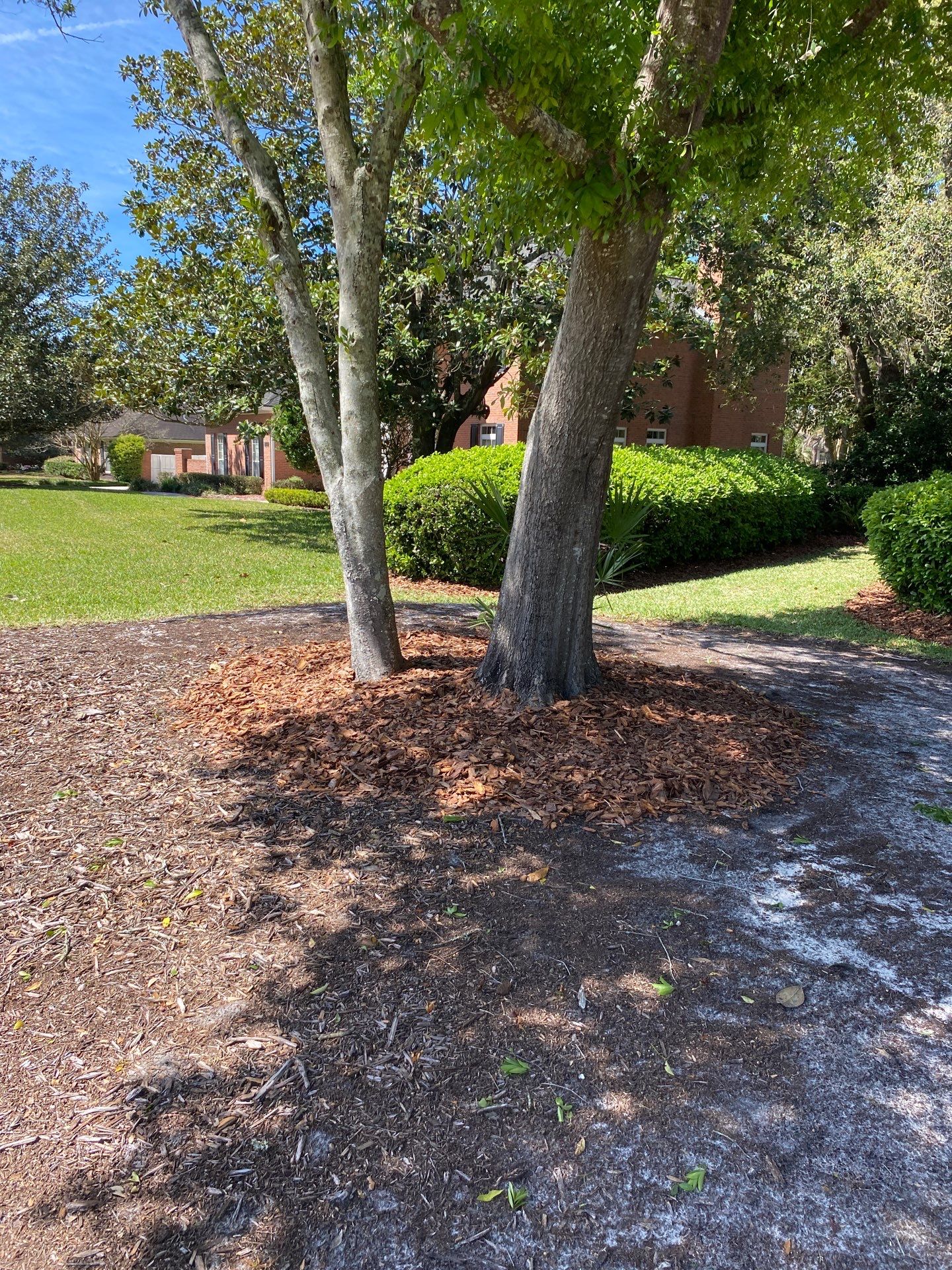 Deerwood Resident | Pine Bark Install by ProGreen Services