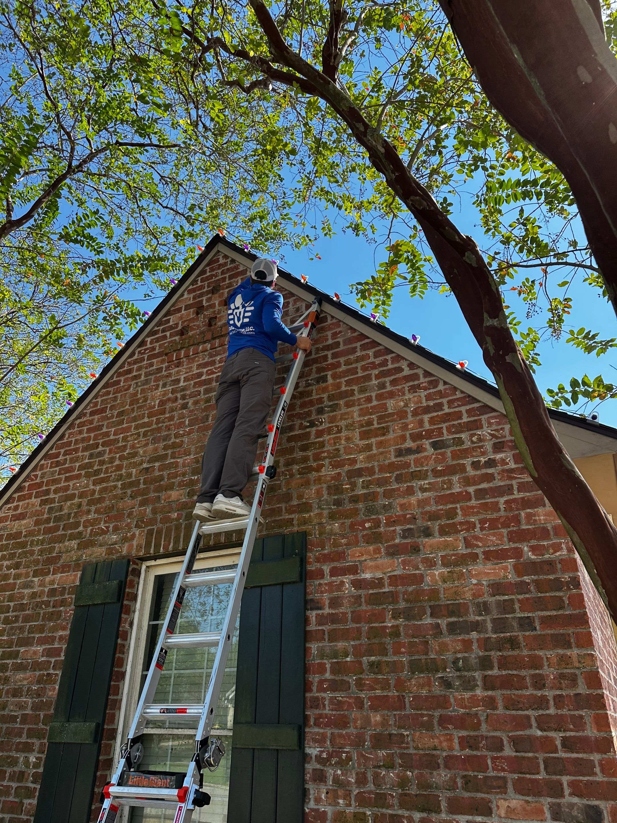 HOLIDAY LIGHTING using ROOFLINE PERIMETER LIGHTING: HALLOWEEN THEME WITH ORANGE AND PURPLE BULBS by CutScape, LLC.