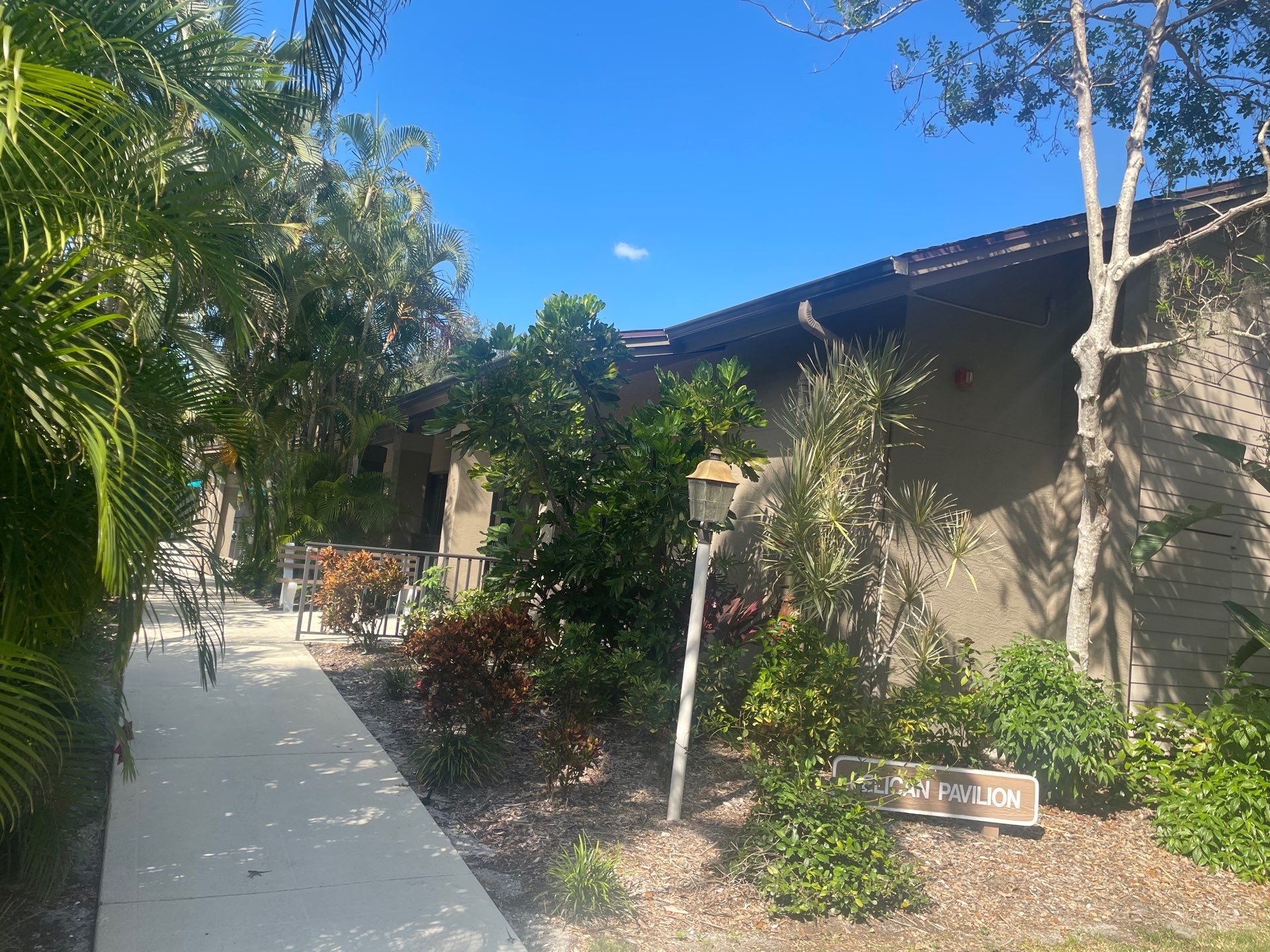 Clean Gutters and Roof in Sarasota FL by Gutter Professors