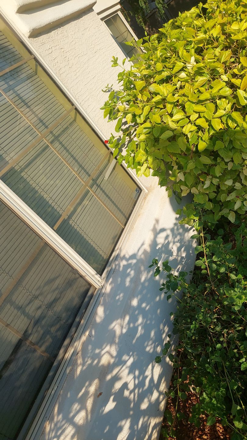 Exterior Painting - Gilbert by Crash of Rhinos Painting & Garage Floors