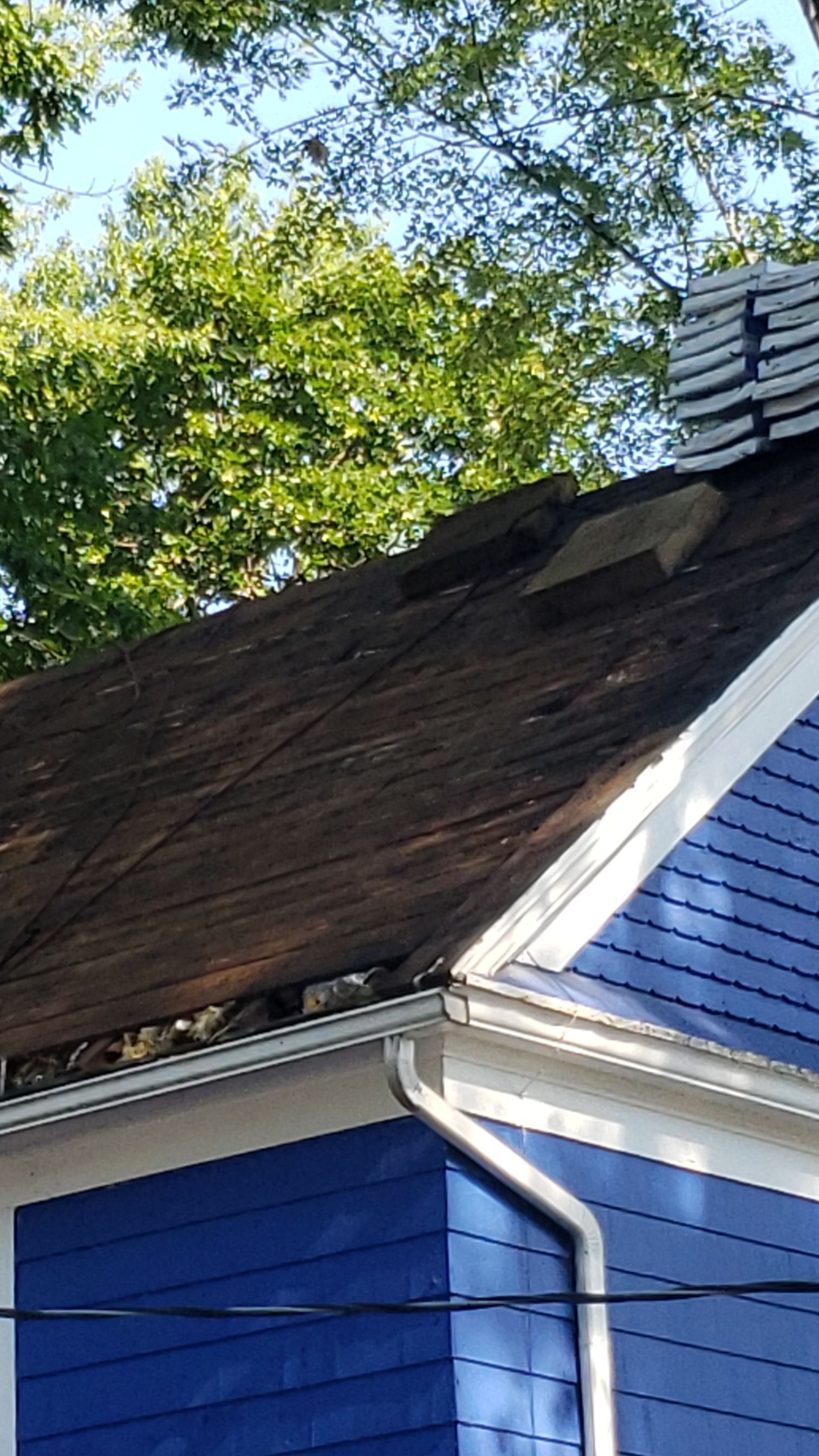 ATLAS PINNACLE COLOR: SCOTCHGARD BLACK DRIP EDGE: WHITE by Eagle Eye Roofing