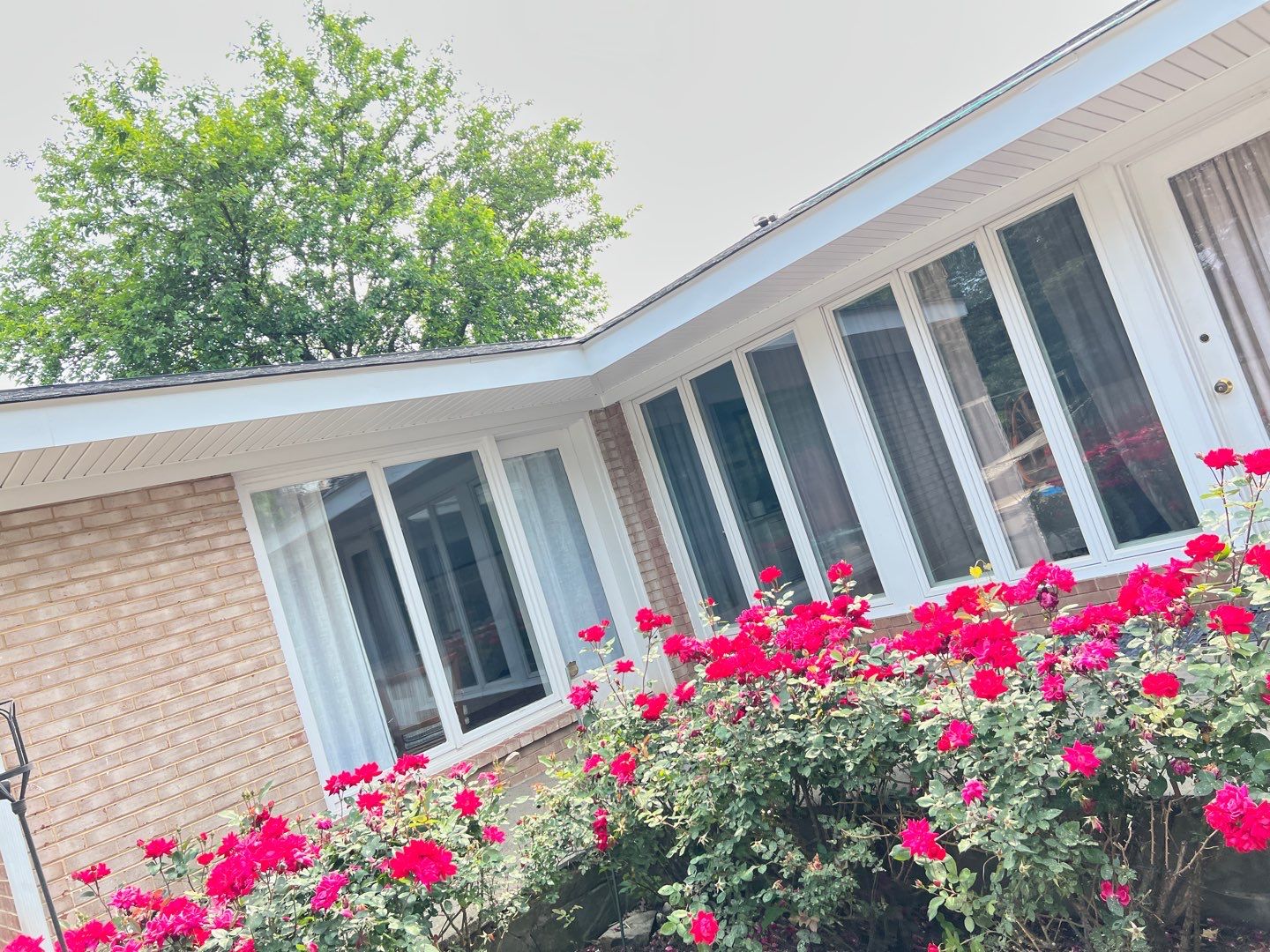 Manassas: CertainTeed Landmark Pro Designer Shingles in Max Def Moire Black by RM Banning, Inc.