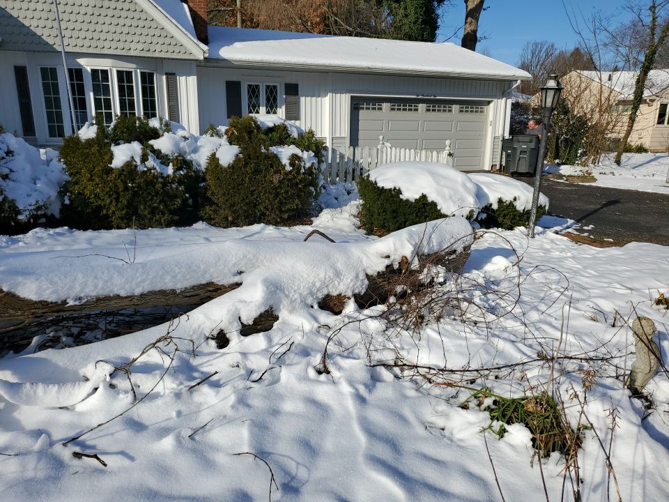 Tree Removal using Tree Removal by Mike Jones & Sons Tree Service LLC 