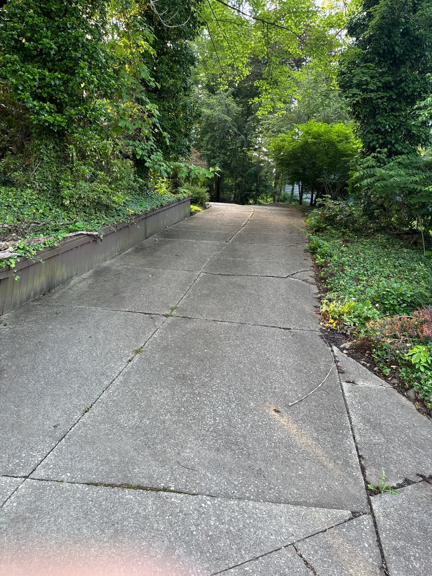 Tree Trimming using Tree Pruing by Mike Jones & Sons Tree Service LLC 