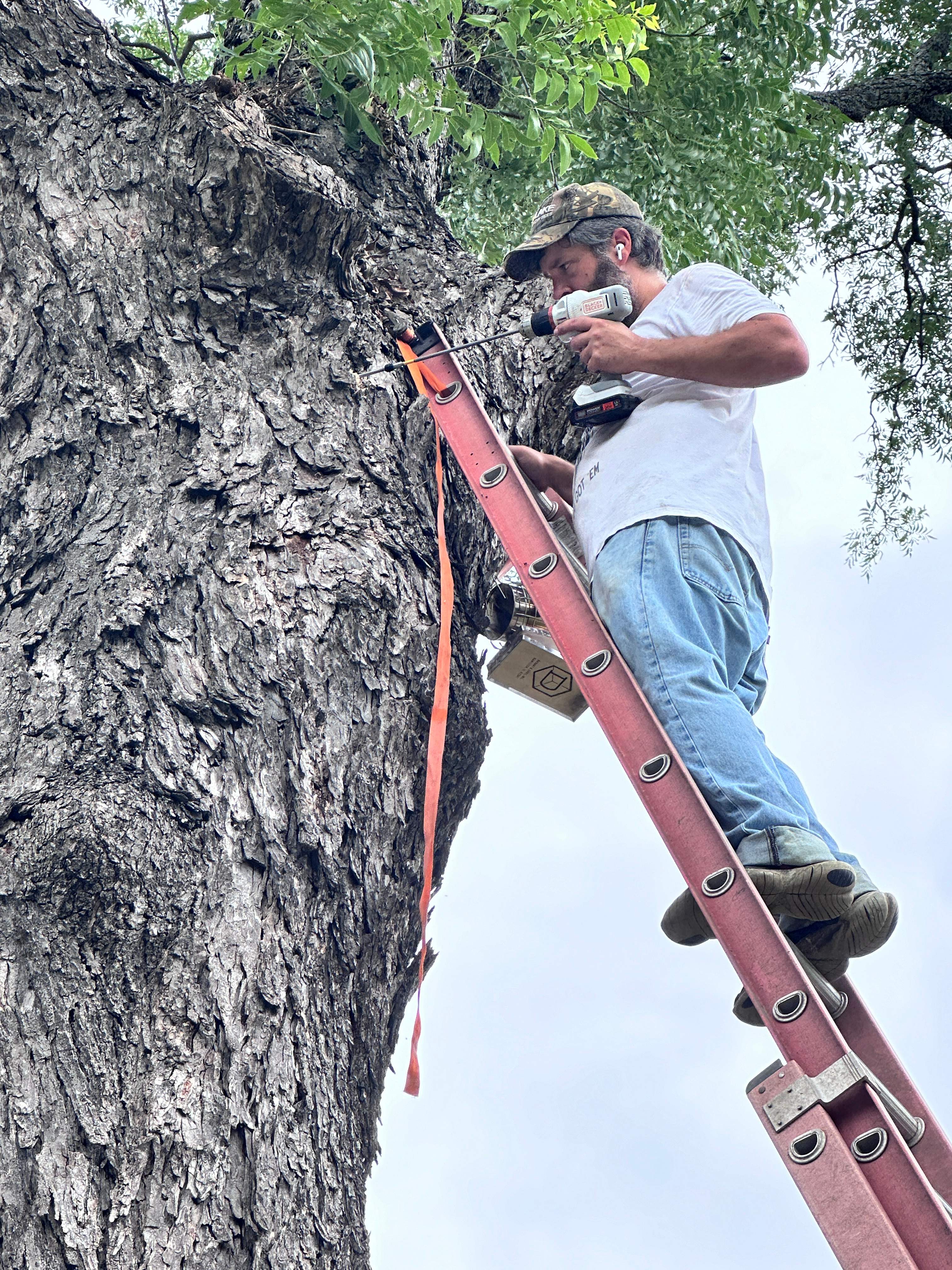Smile! by Rockwall Honey Bee Company