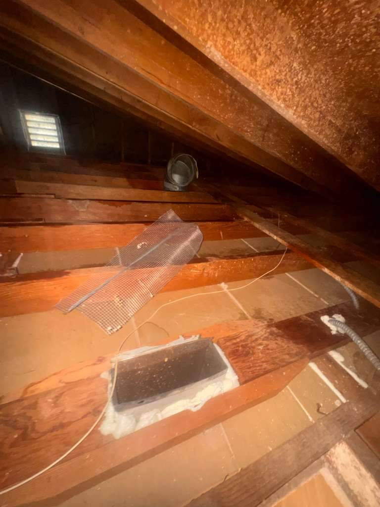 Project by Advanced Attic Solutions by Advanced Attic Solutions