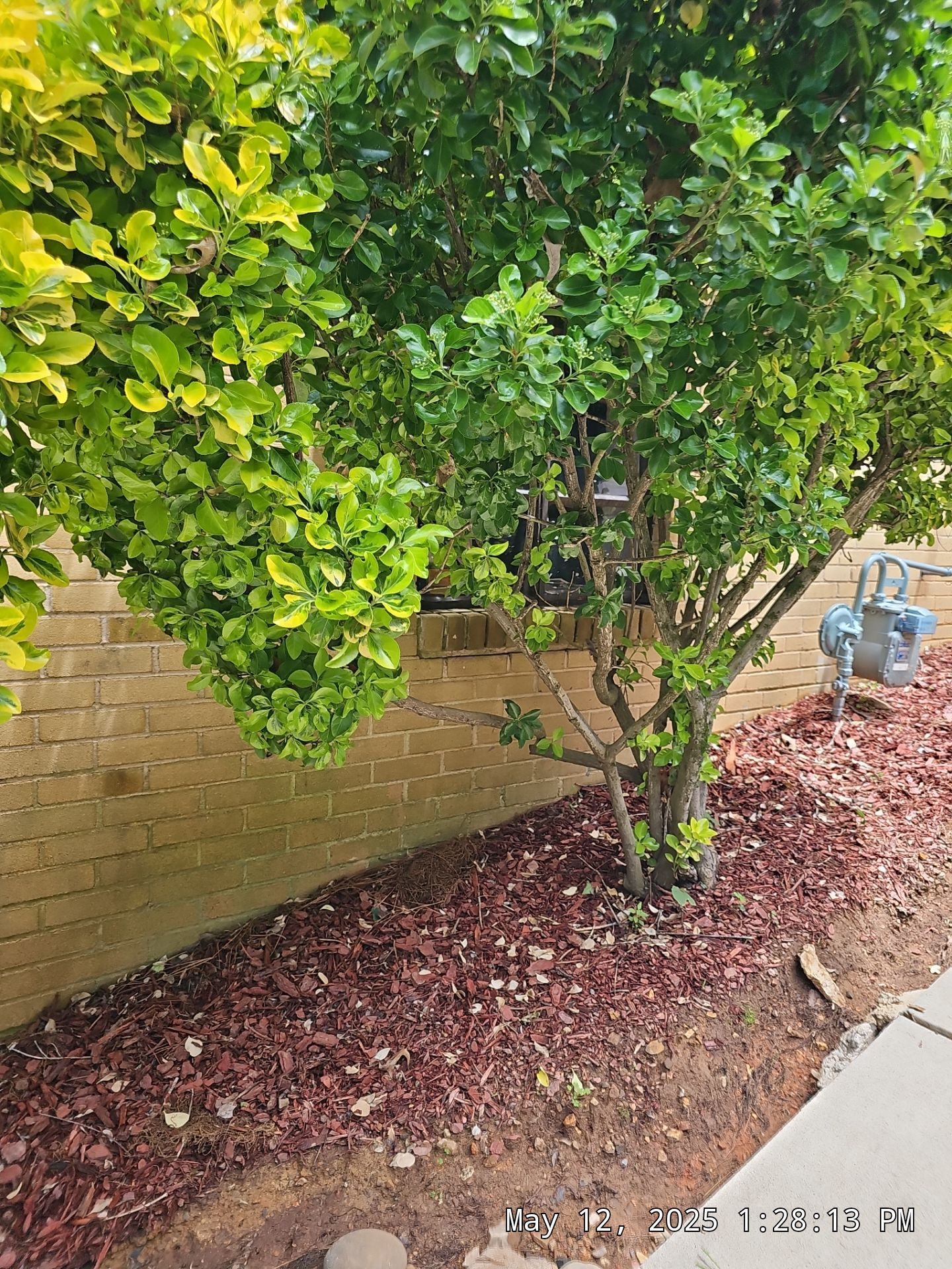 McMilan Project in Birmingham by The Window Source