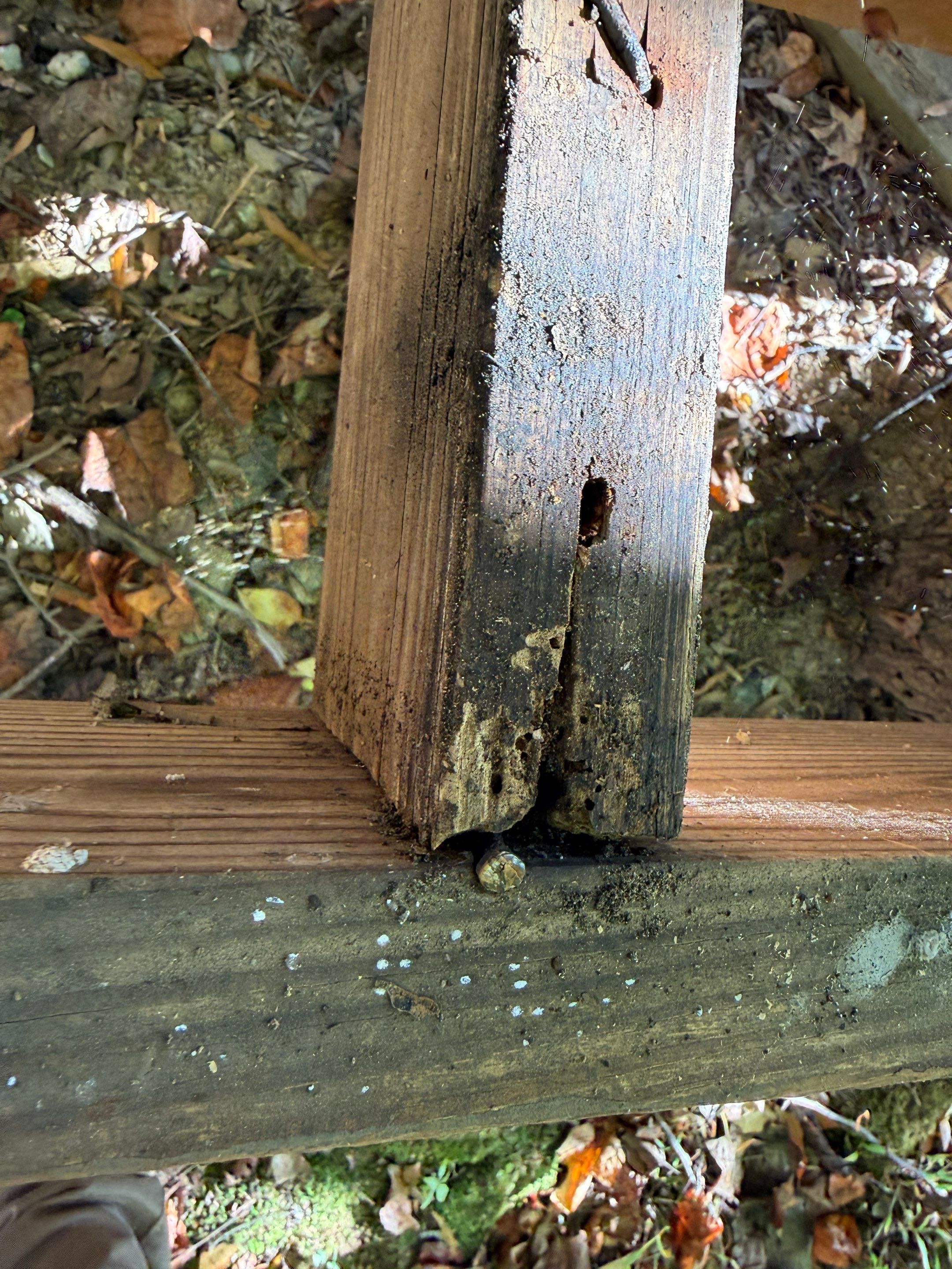 Deck repairs and new decking installation by AXR Inc