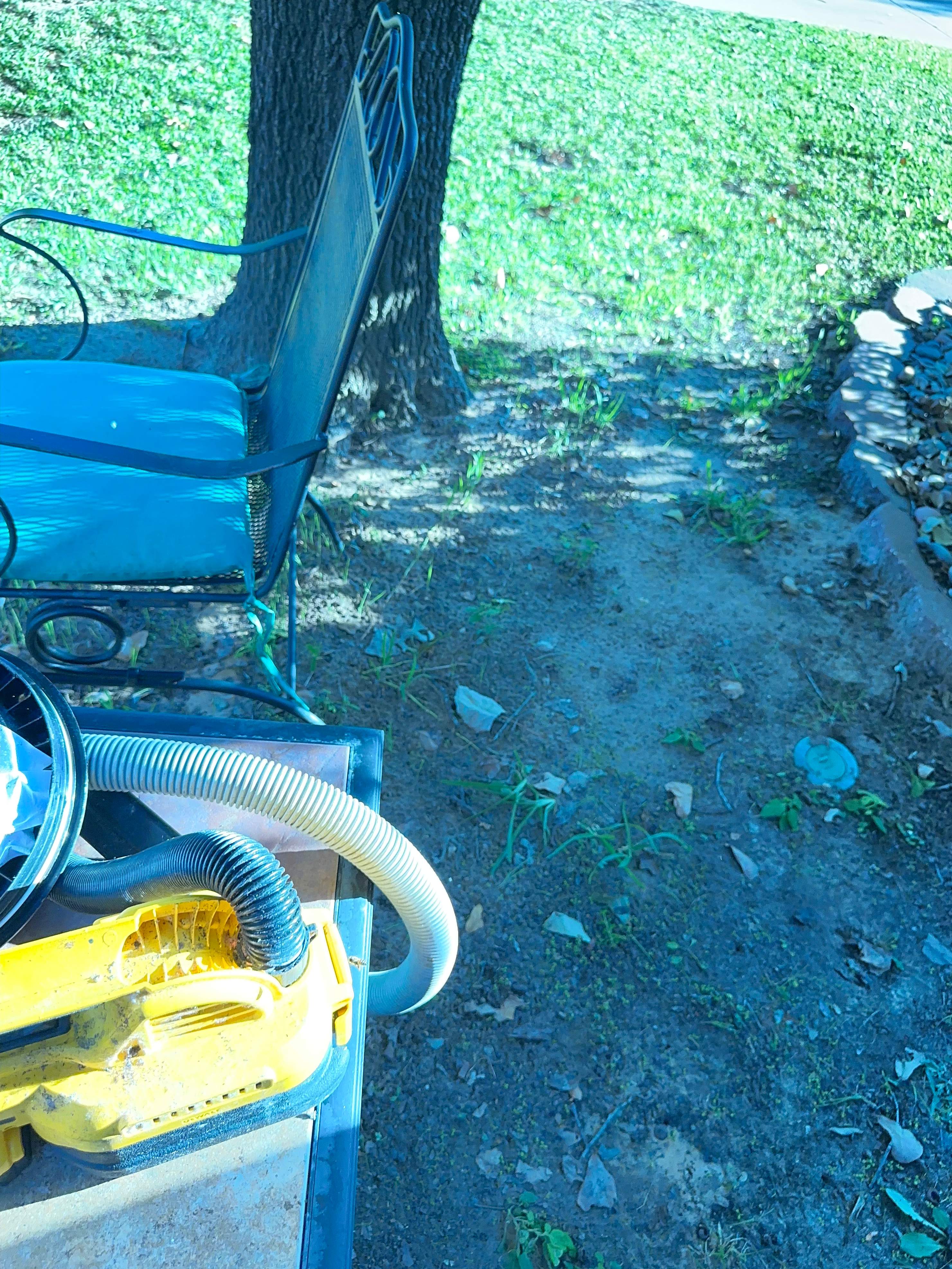 Ceiling, not Wall by Rockwall Honey Bee Company