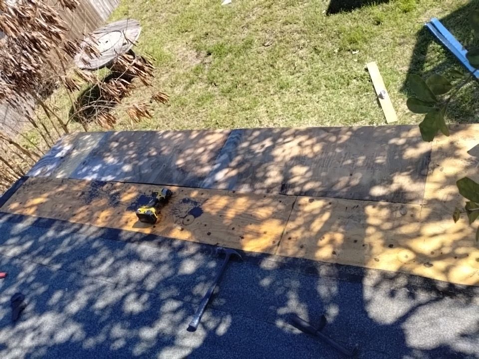 Olive you a Lot! by Bayfront Roofing and Construction