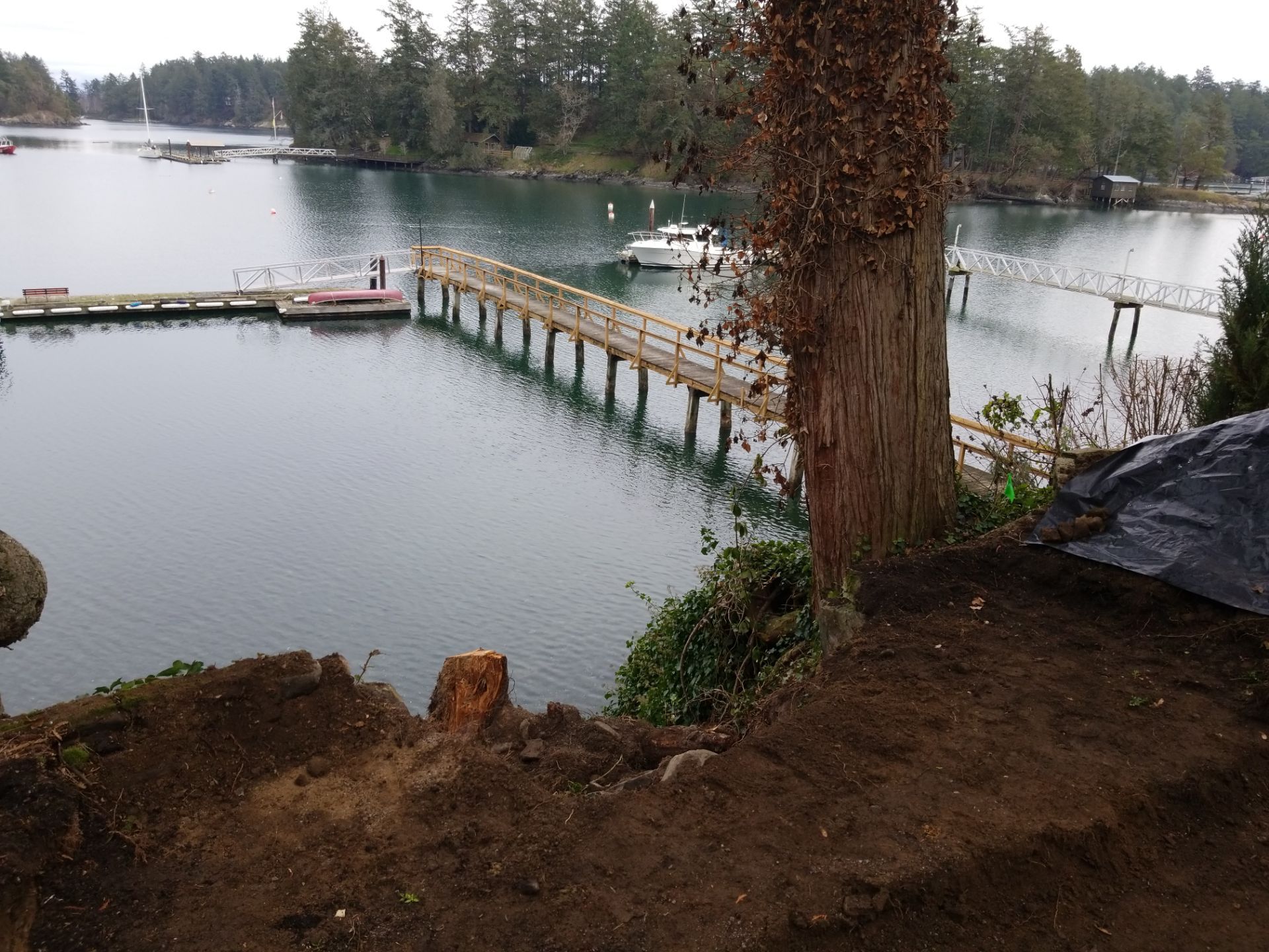 Coastal Landscape Restoration & Retaining Structure - In progress by Habanero Garden and Exterior Care