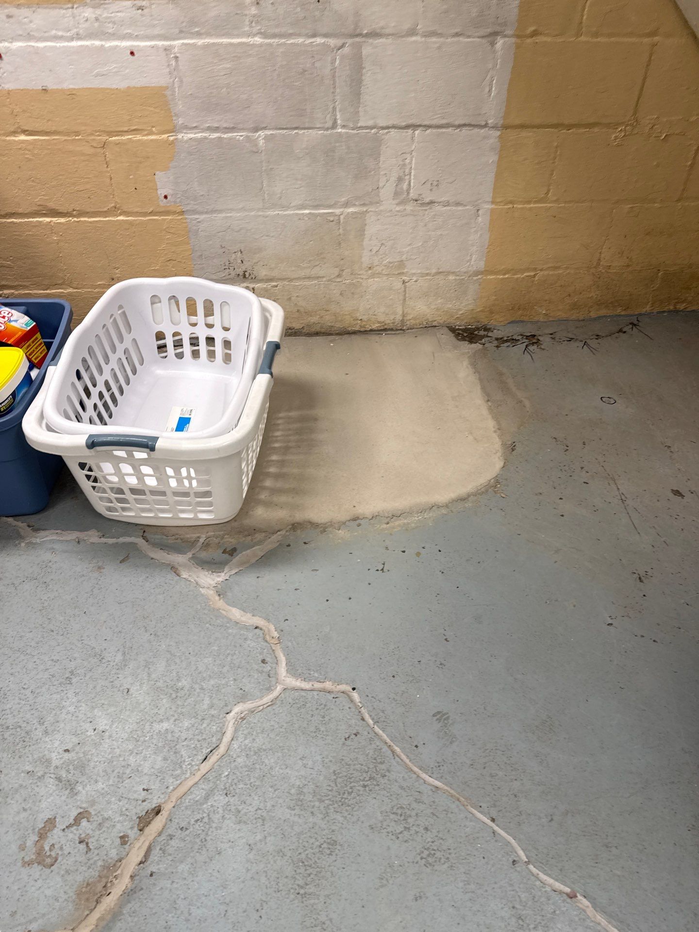 Shoreline Basement Project in Pittsburgh by Floors in a Day, Inc