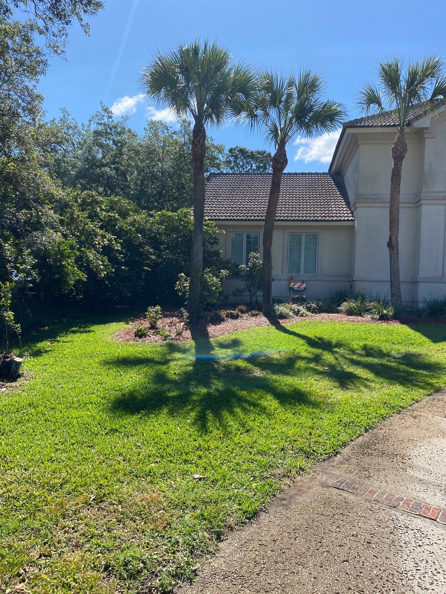 Deerwood Resident | Palm Tree Trimming & Clean-Up by ProGreen Services