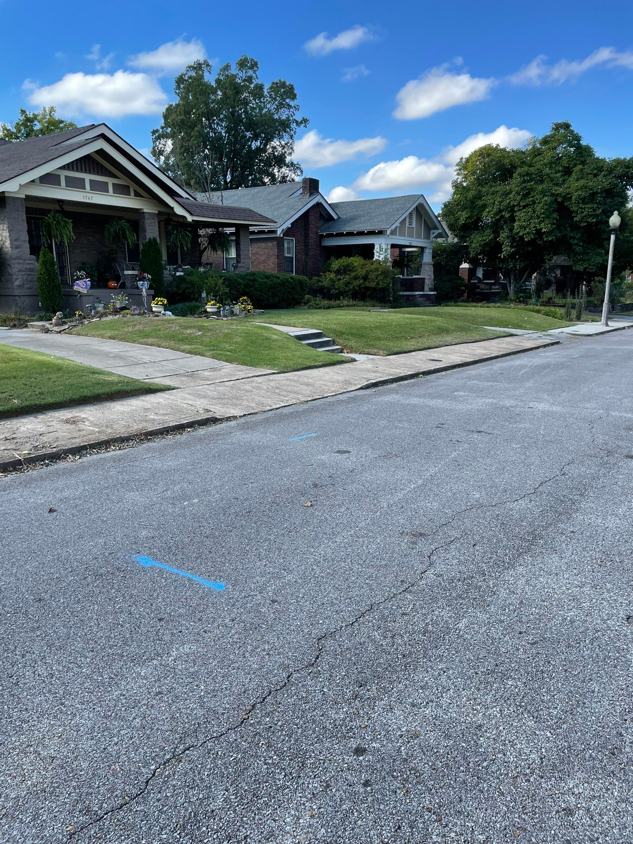 Utility Locate for Survey Purposes by Alsip Locating Service, LLC