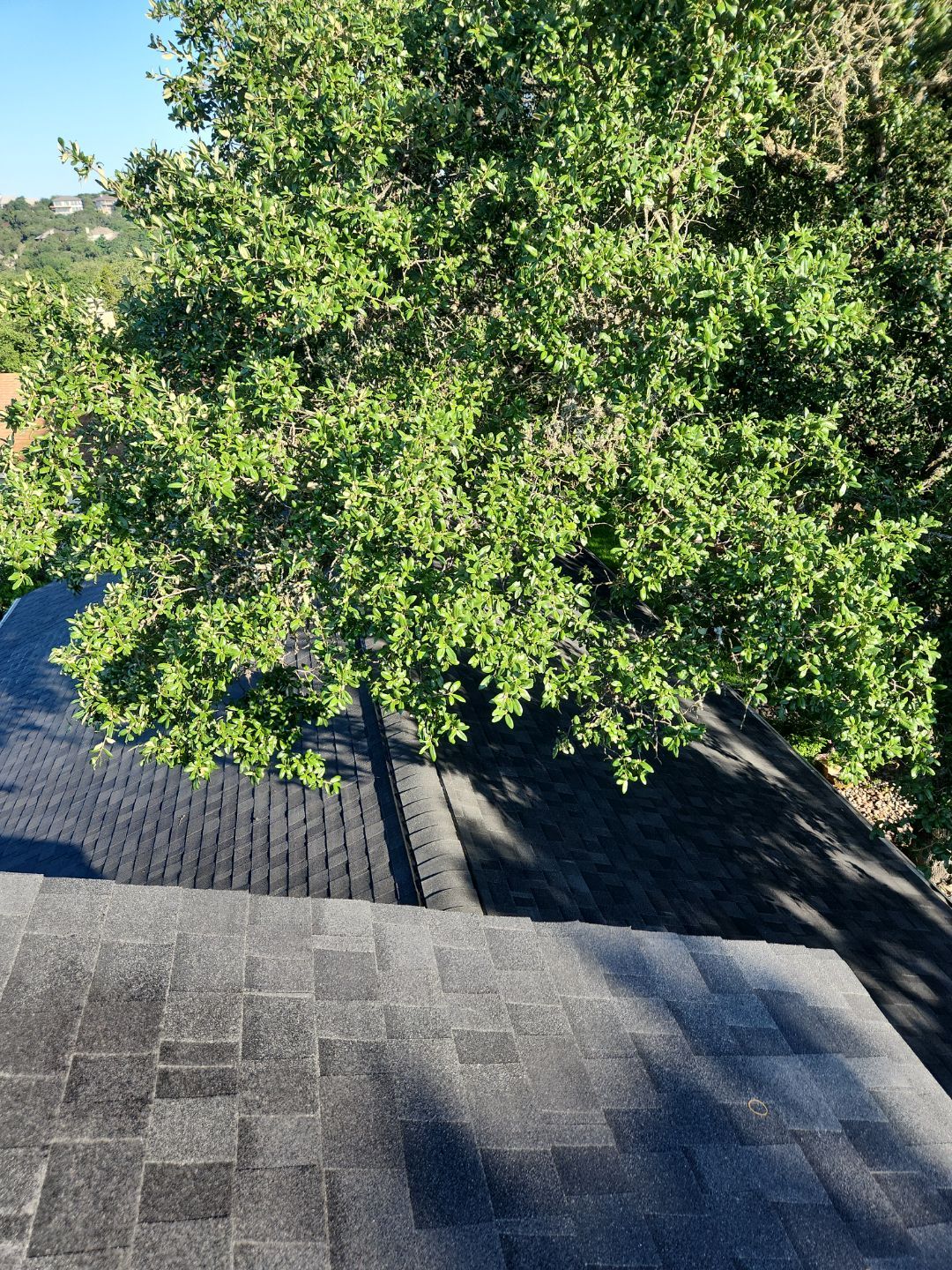 Onyx Black - Owens Corning TrueDefinition Duration by RoofsOnly.com