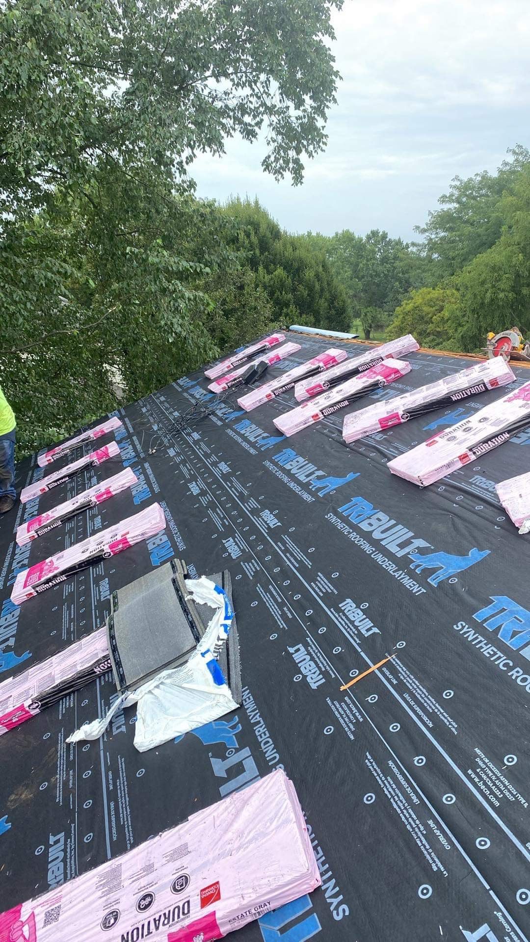 Silver Birch Shingles by Reimagine Roofing