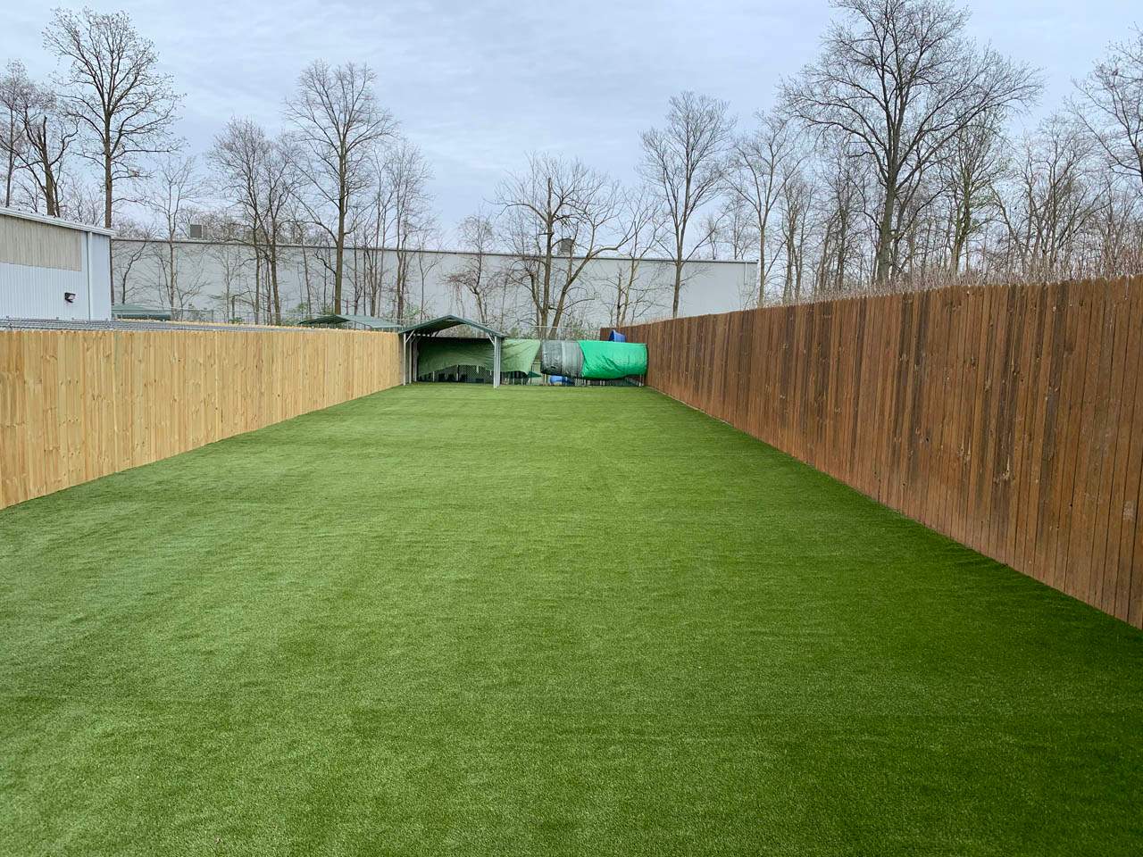 Pampered Pets K9Grass by ForeverLawn NEIN/INDY