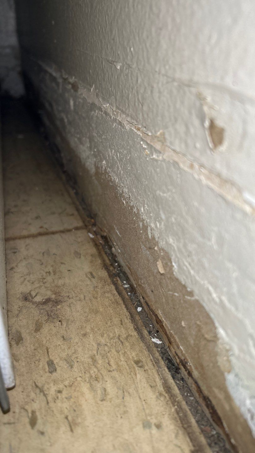 Mold Remediation by Accountable Home Services