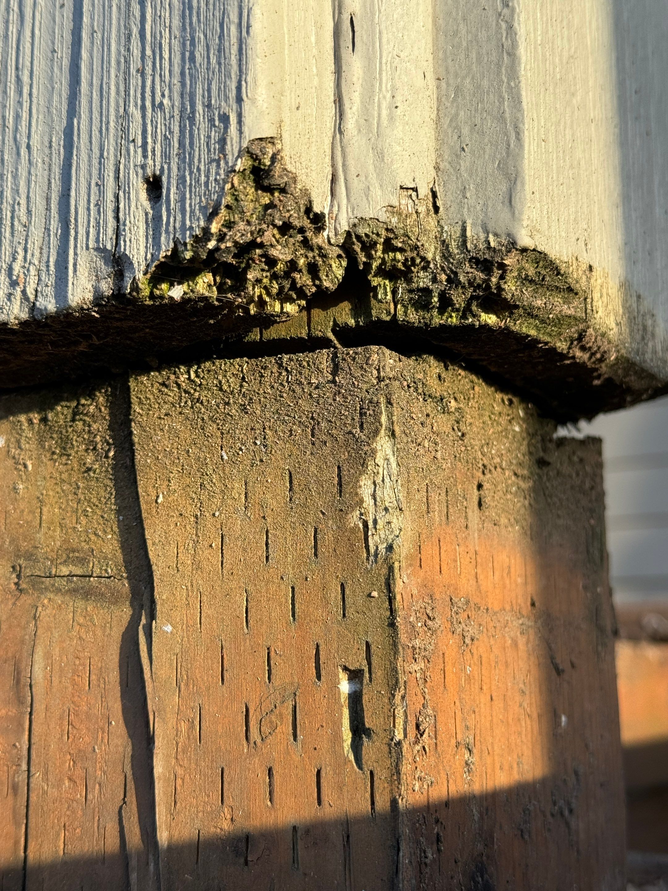 Project in West Linn by Peak Exteriors LLC