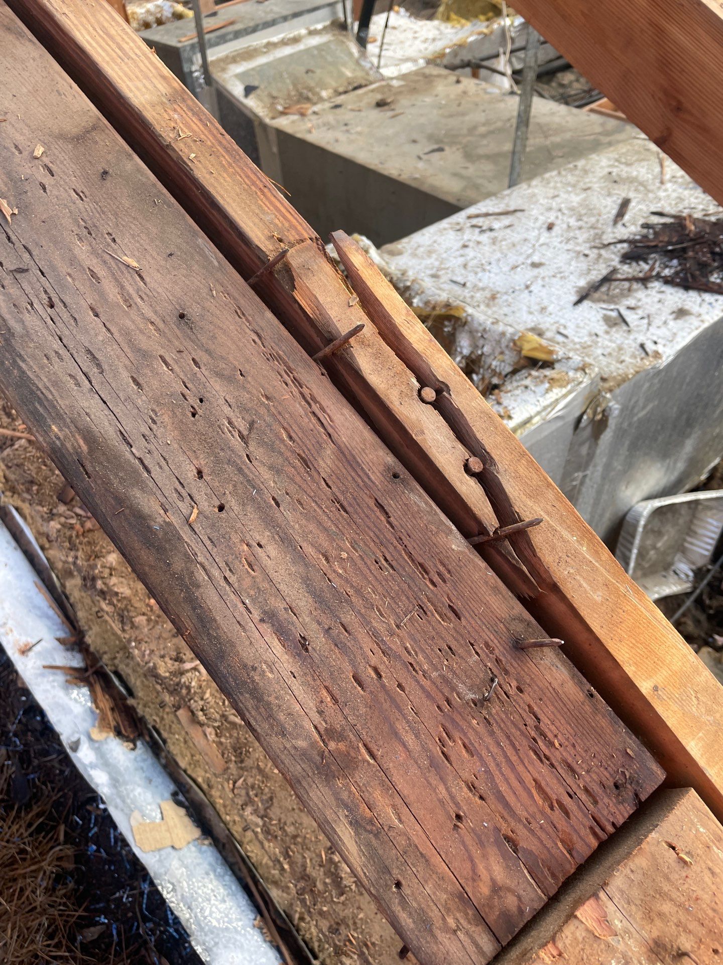 Roof Replacement Spring by Roof Repair Company