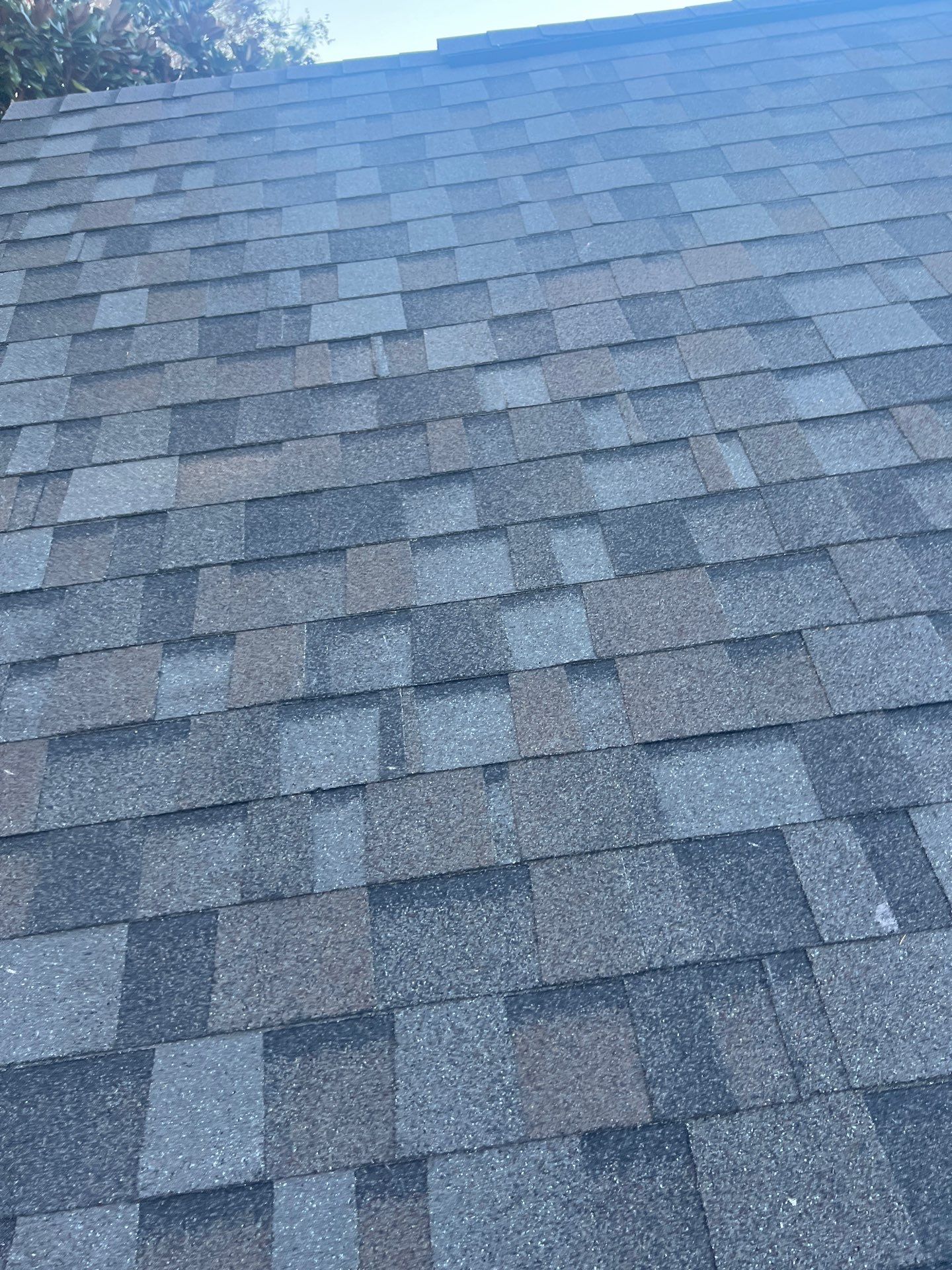 Reroof Asphalt Shingles in Gainesville, FL by Brehm Roofing