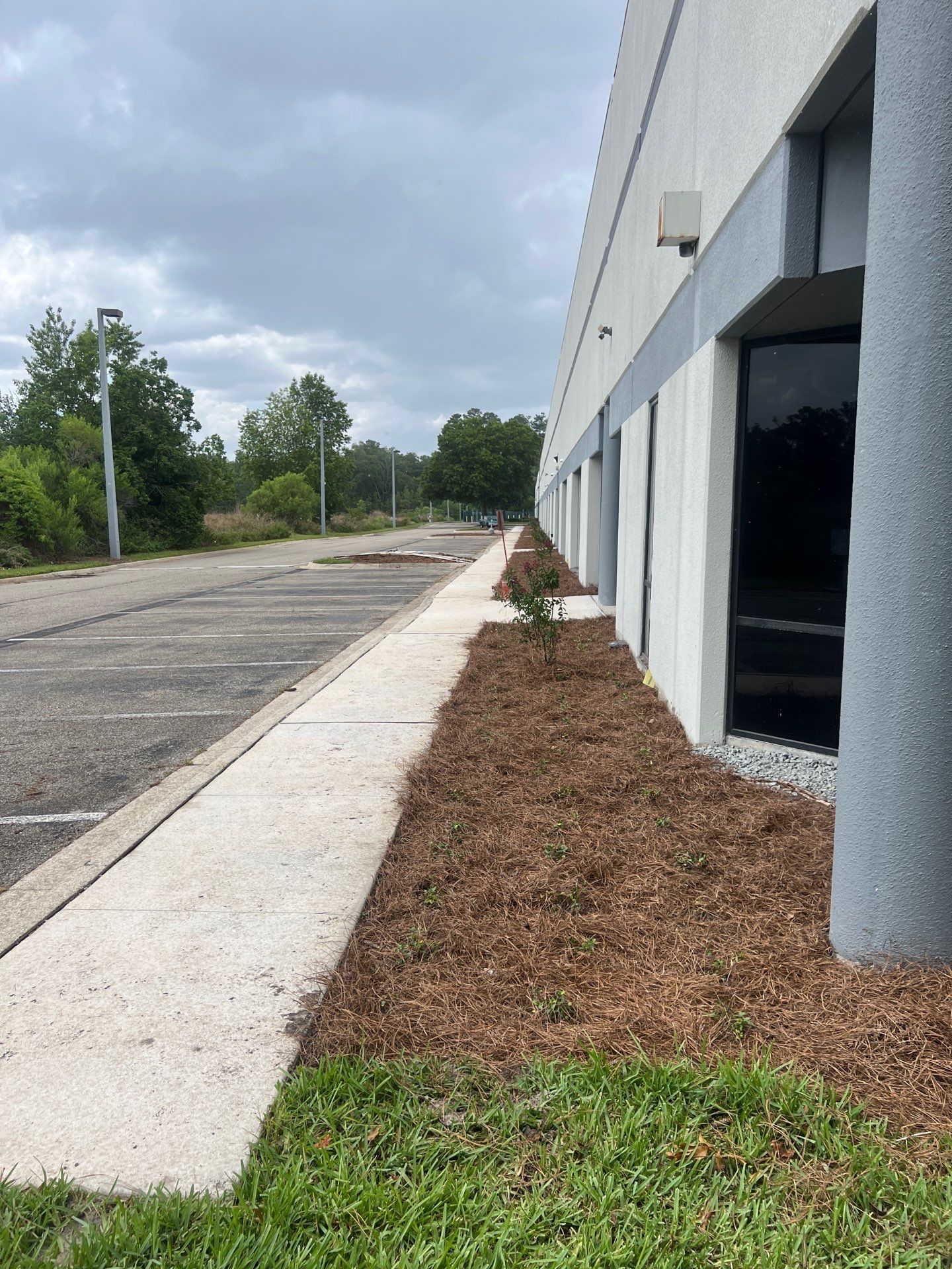 Large Landscape Project | Center Point by ProGreen Services