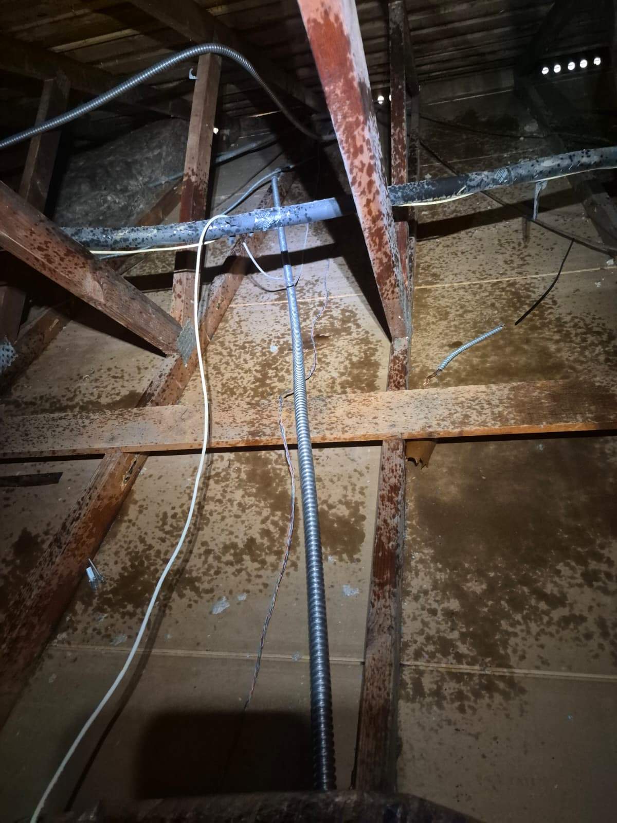 Project by Advanced Attic Solutions by Advanced Attic Solutions