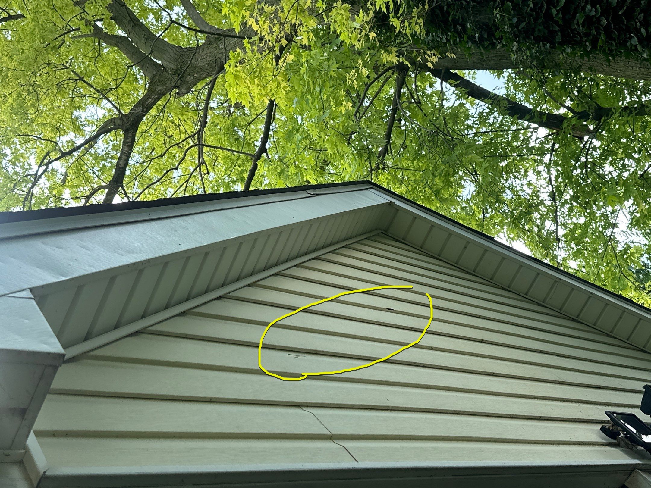 Jonathon Salmons Hail & Tree Damage Report by Constructive Project Management